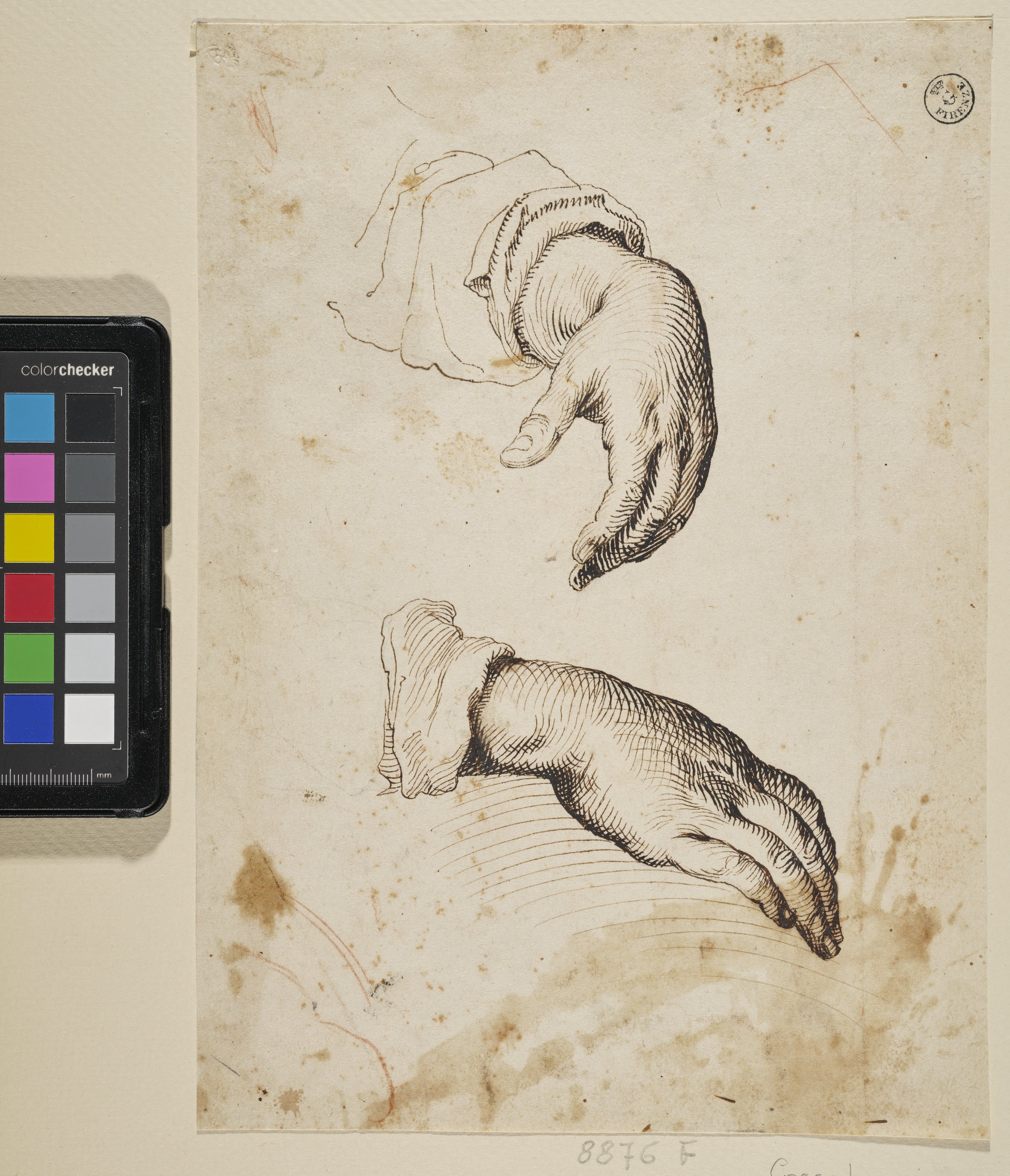 Studio di mani (disegno) di Cardi Ludovico detto Cigoli (fine/ inizio XVI/XVII)