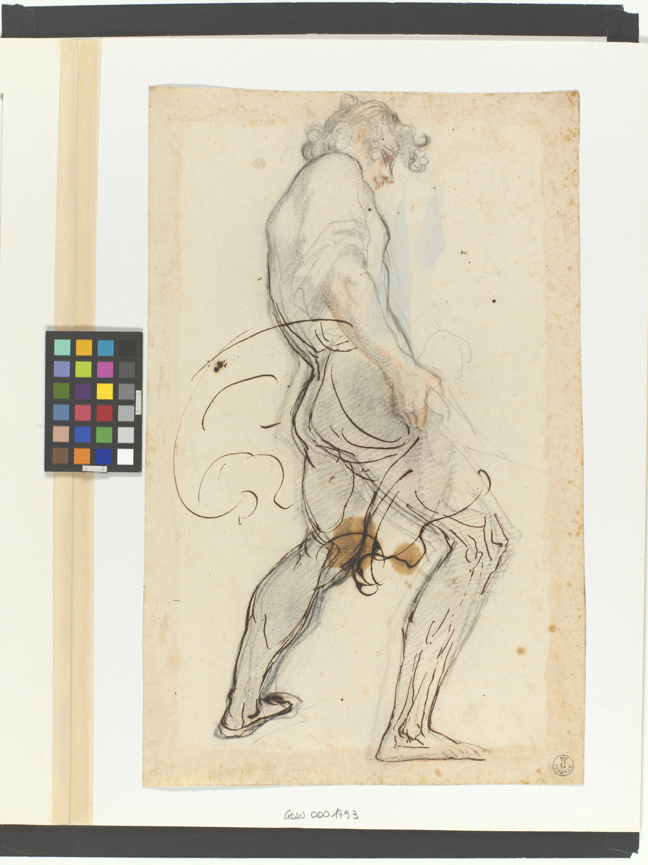 figura maschile nuda di profilo a destra (disegno) di Cardi Ludovico detto Cigoli (XVII)