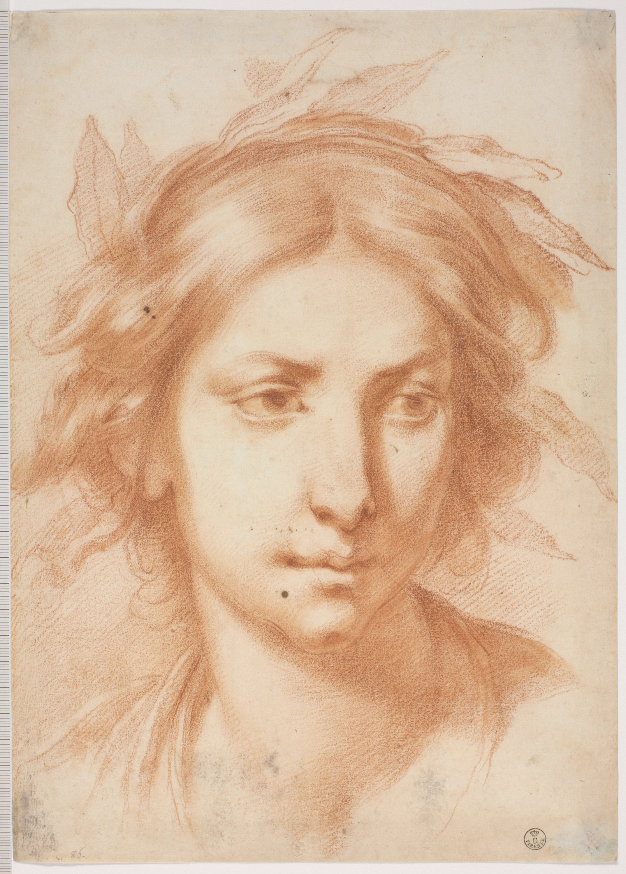 Testa femminile coronata di alloro (disegno) di Furini Francesco (XVII)