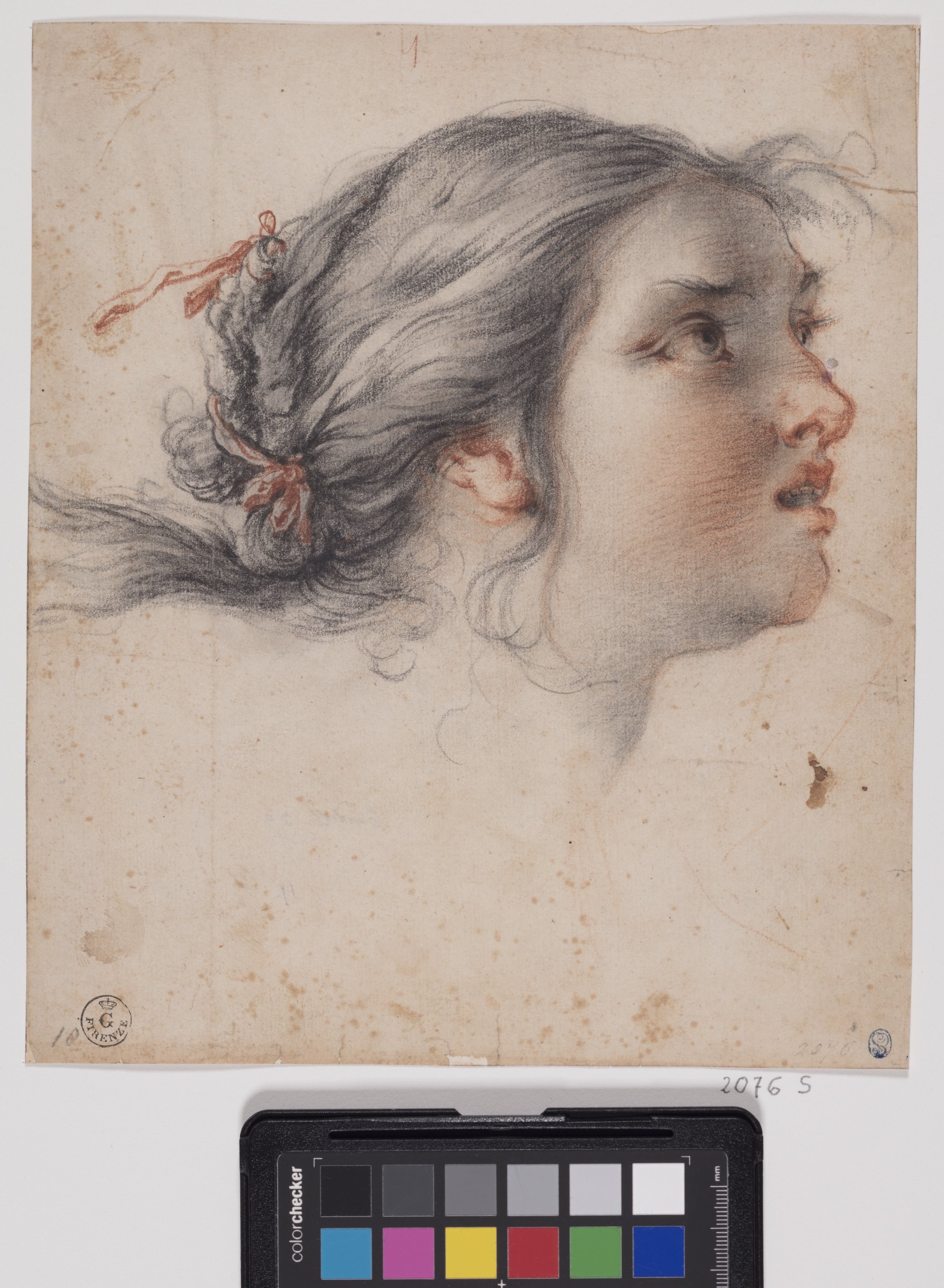 testa femminile di profilo a destra (disegno) di Furini Francesco (XVII)