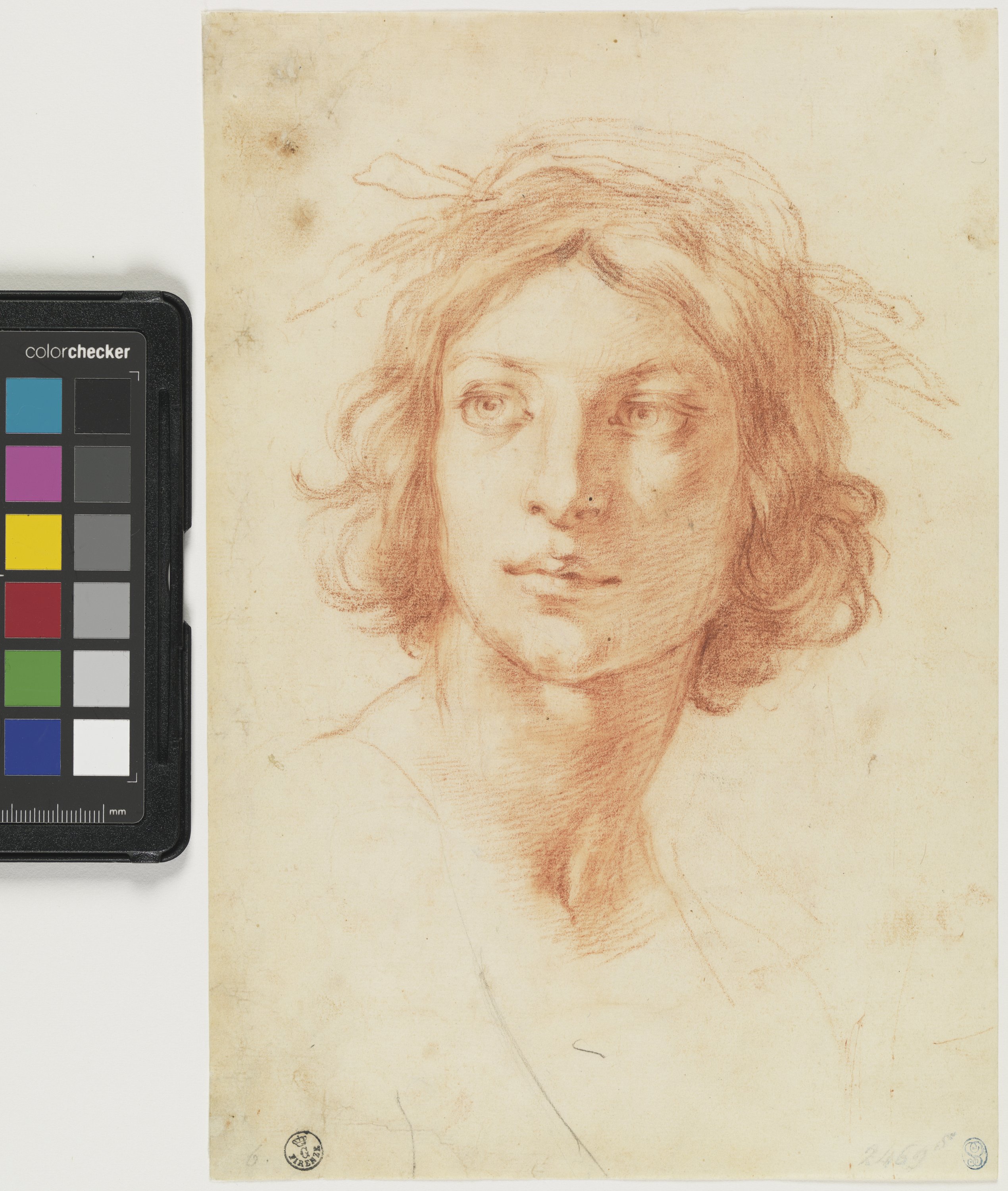 Testa di giovane coronato d'alloro: poeta (disegno) di Furini Francesco (XVII)