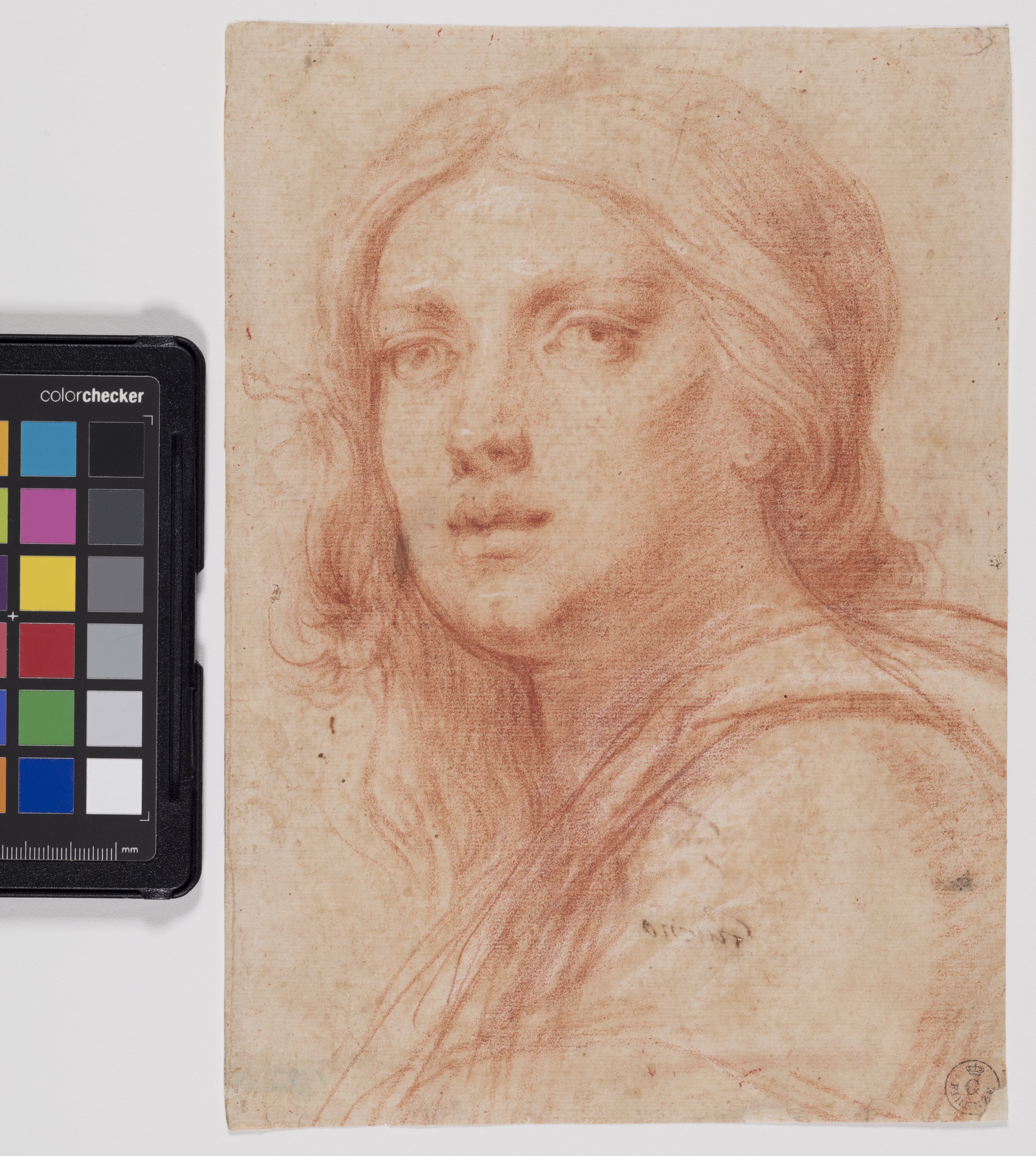 Giovane donna a mezzo busto (disegno) di Furini Francesco (XVII)