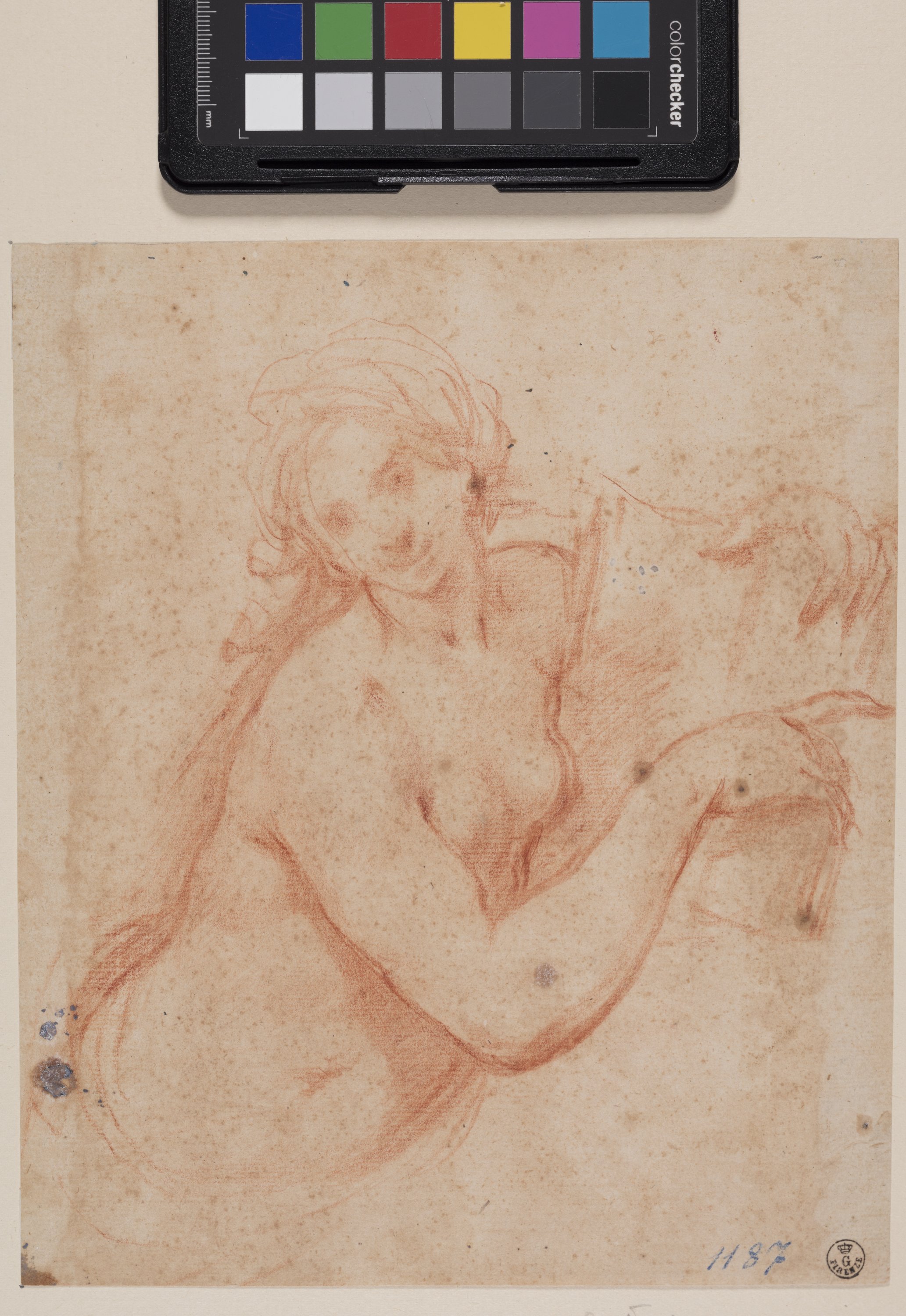 Studio di nudo femminile a più che mezza busto con libro (disegno) di Furini Francesco (XVII)
