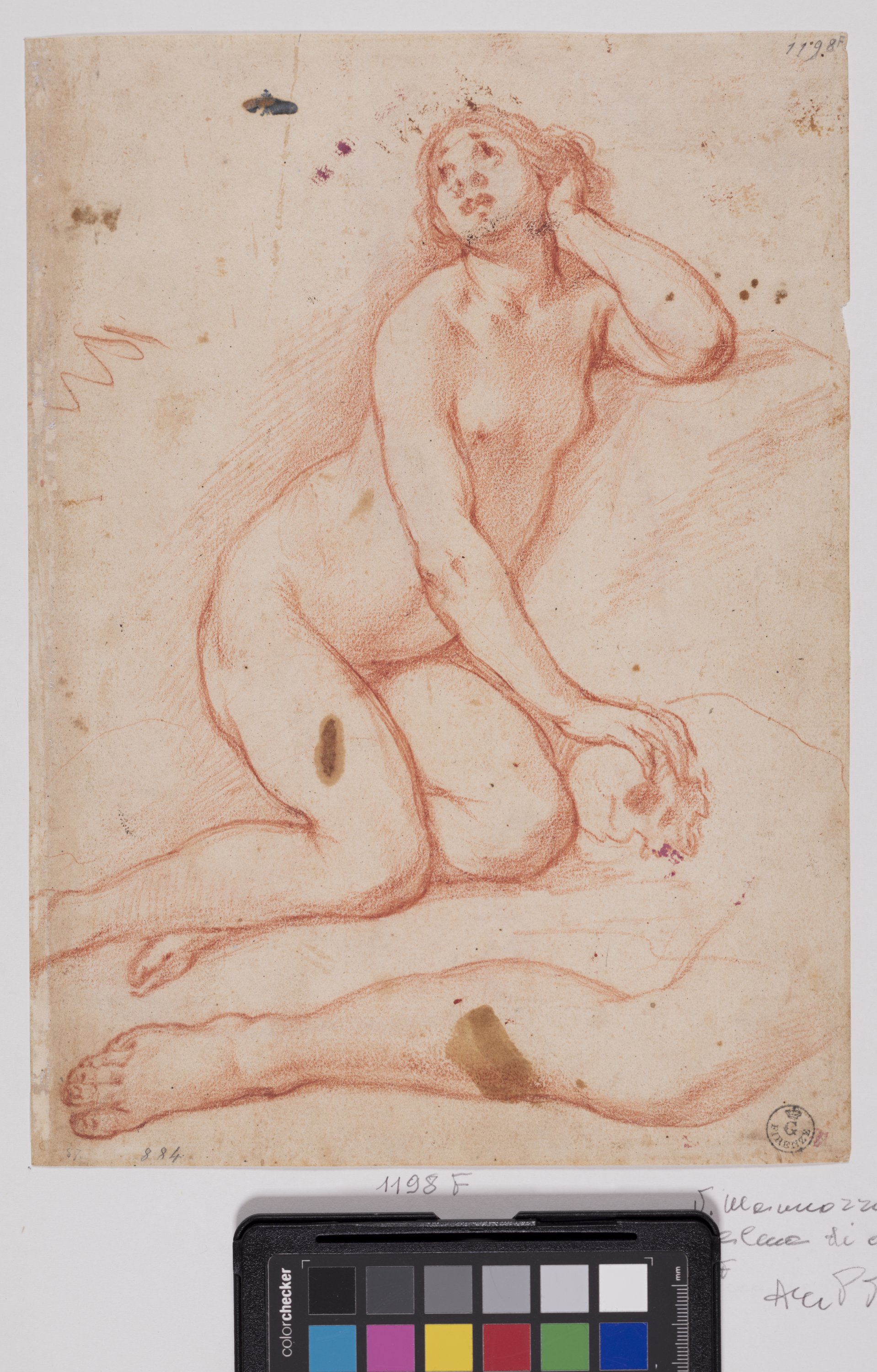 Studio per una Maria Maddalena penitente; studio della gamba destra (r.), Studio femminile nudo visto di spalle; due studi di braccio sinistro (v.) (disegno) di Furini Francesco (XVII)