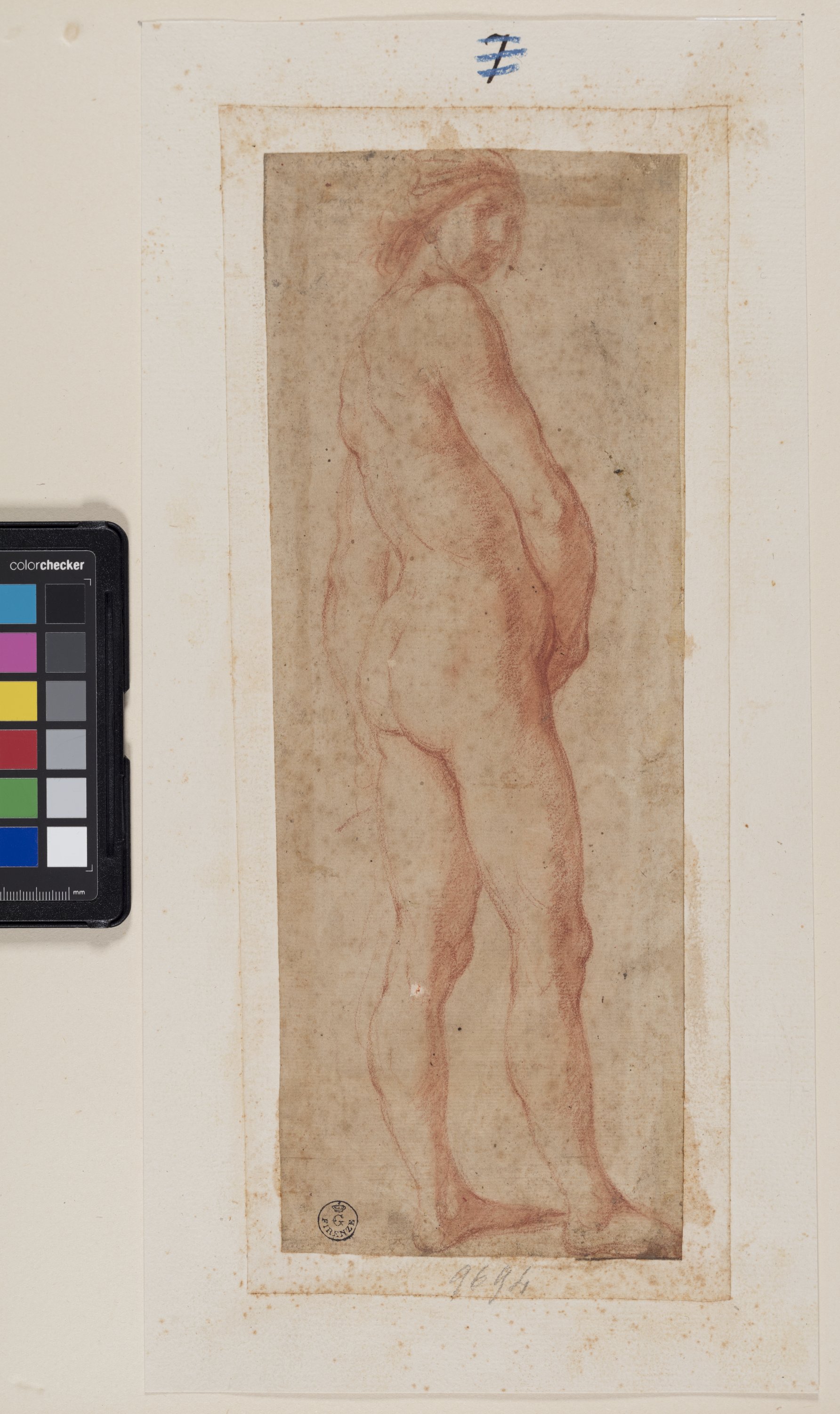 figura di nudo virile in piedi di profilo (disegno) di Furini Francesco (XVII)