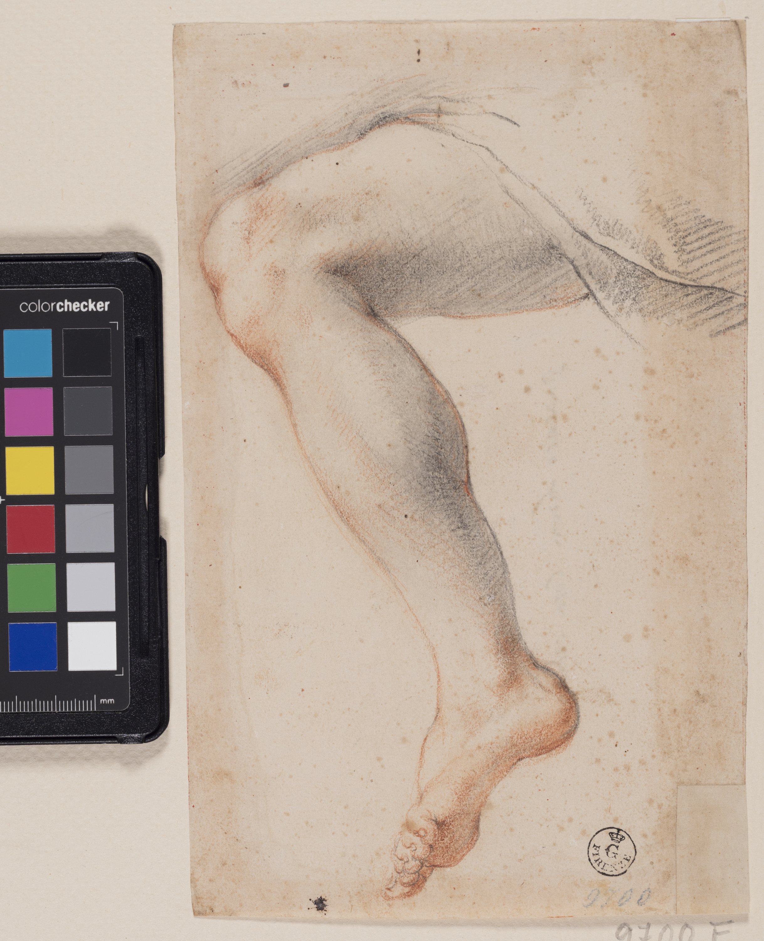 Studio di gamba (disegno) di Furini Francesco (XVII)