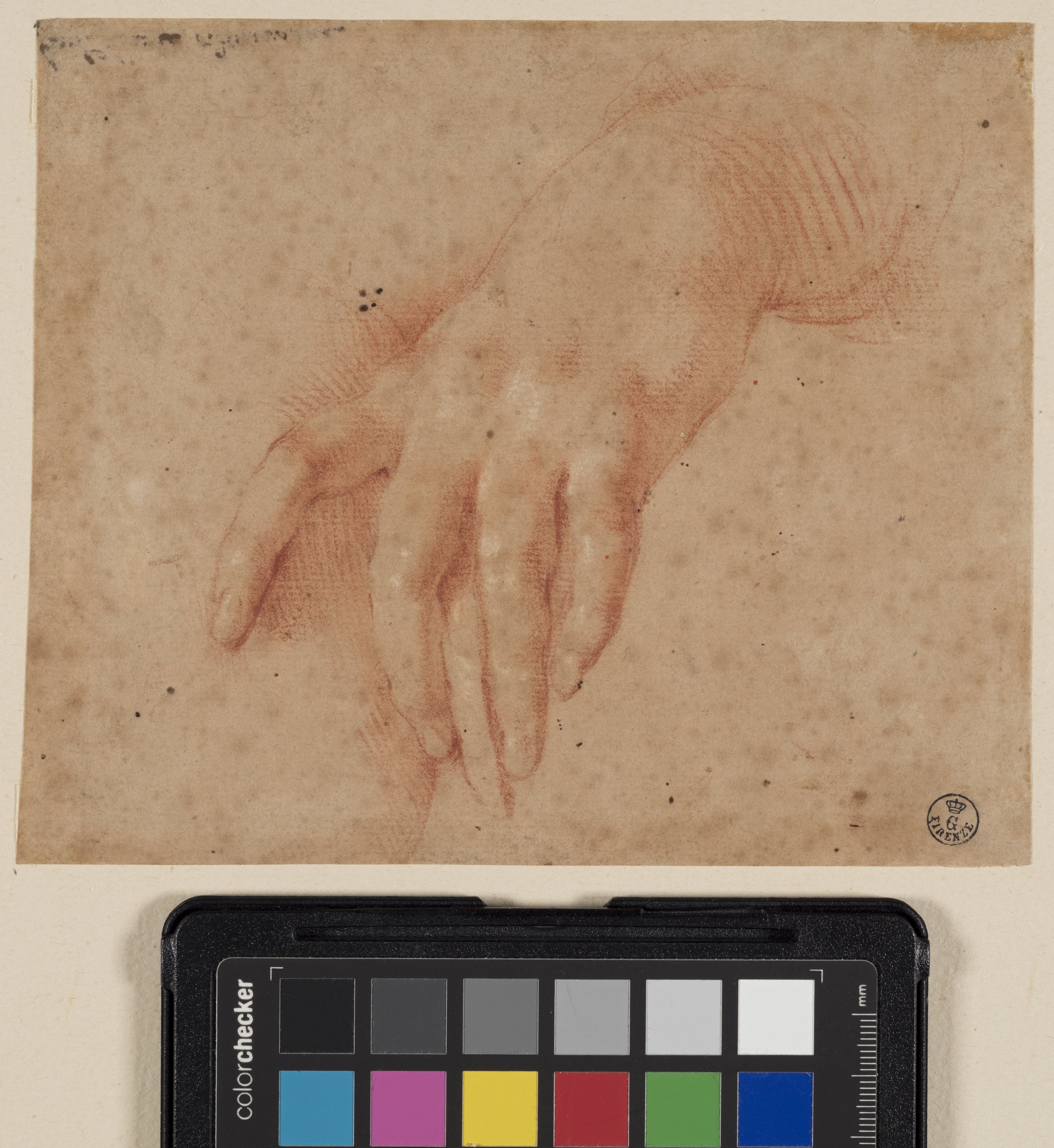 Studio di mano che regge una coppa (disegno) di Furini Francesco (XVII)