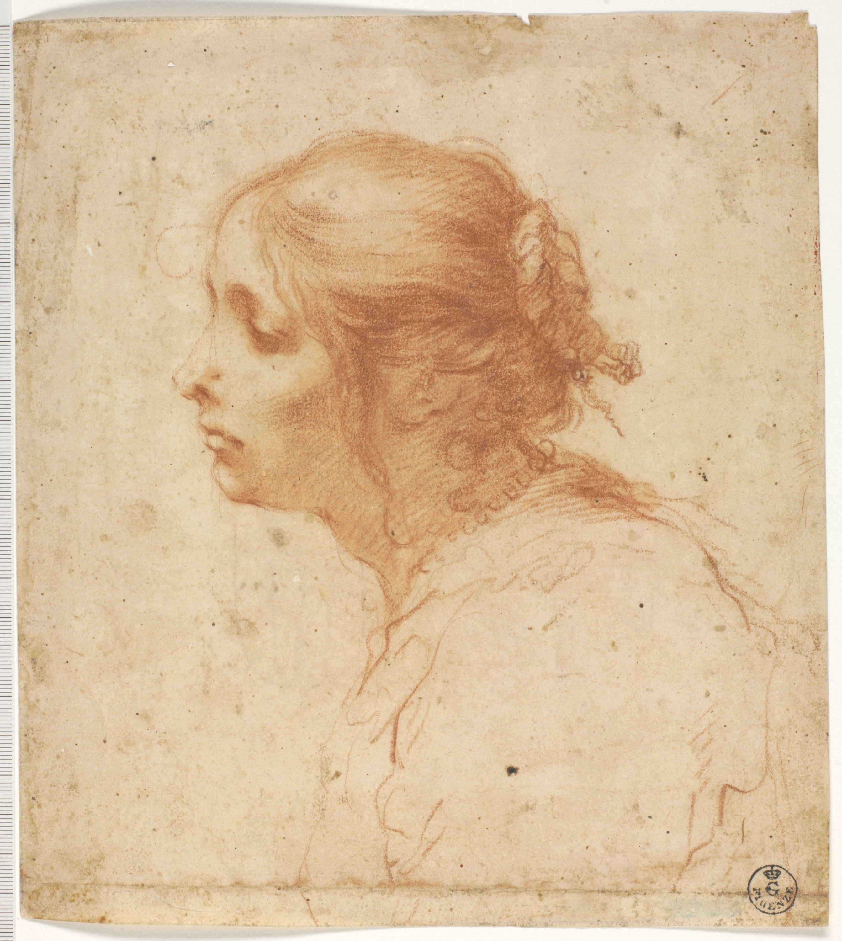 Testa di donna di profilo (disegno) di Furini Francesco (XVII)