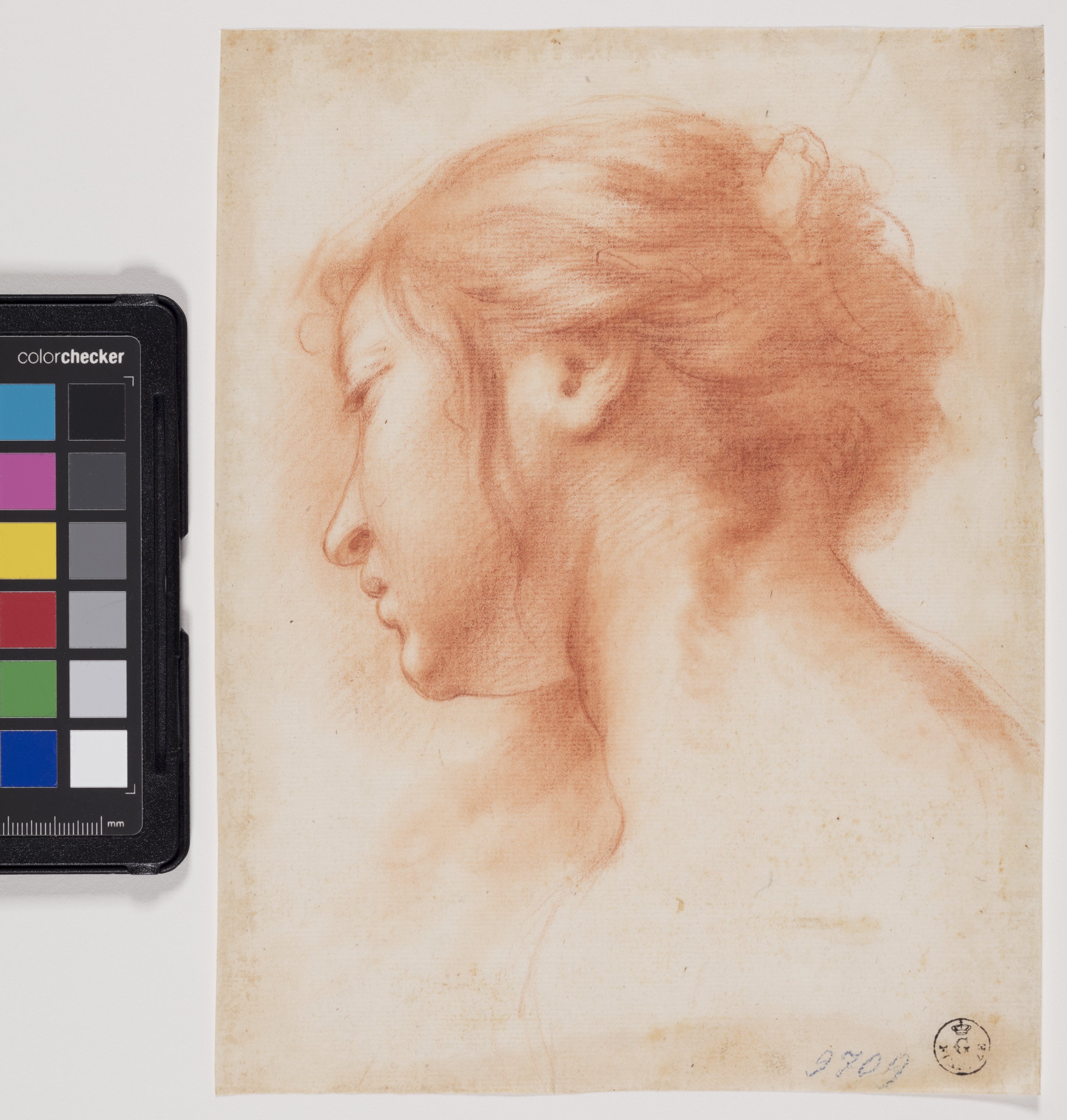 Testa di donna di profilo (disegno) di Furini Francesco (XVII)