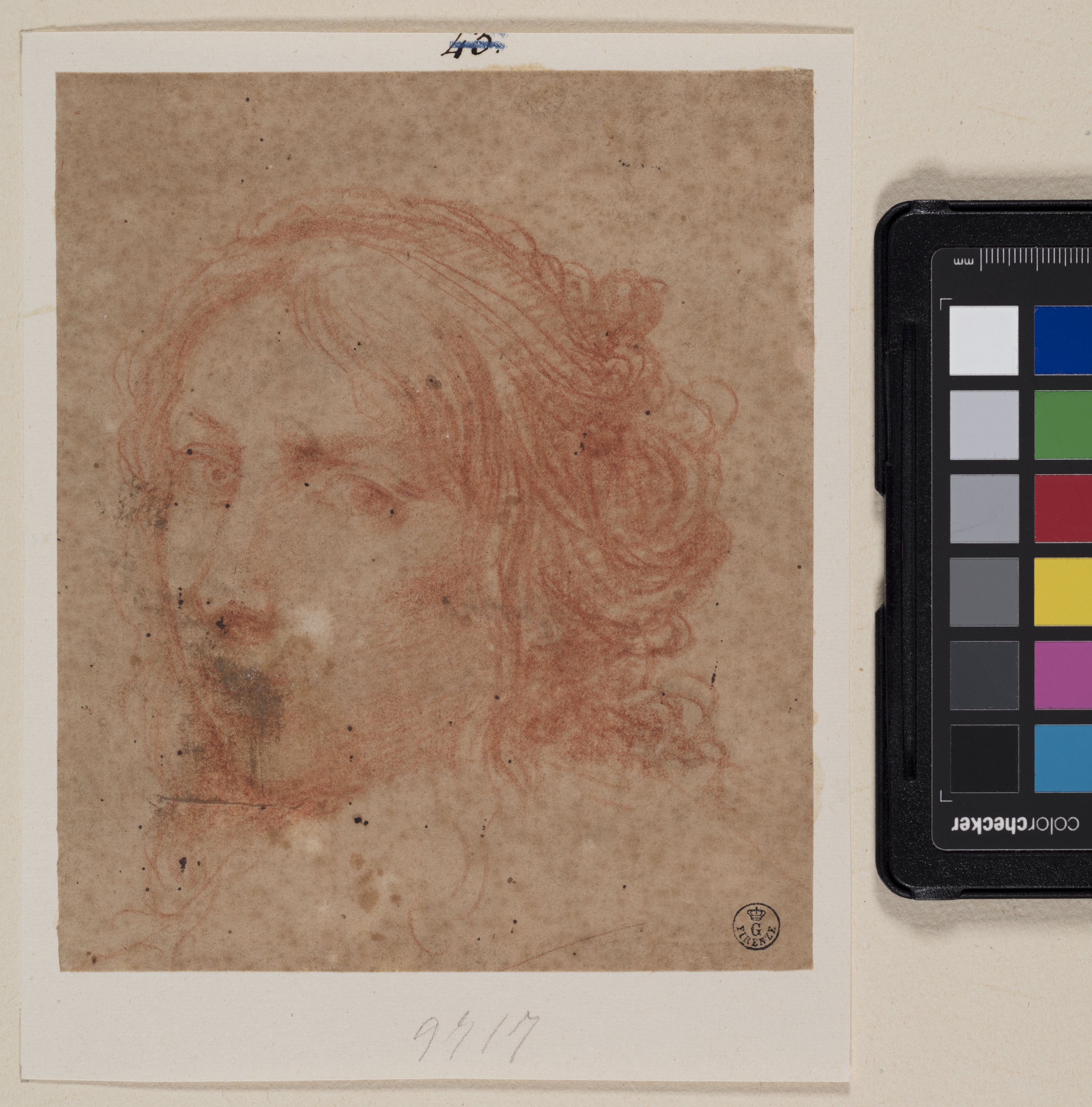 Testa di donna di tre quarti (disegno) di Furini Francesco (prima metà XVII)