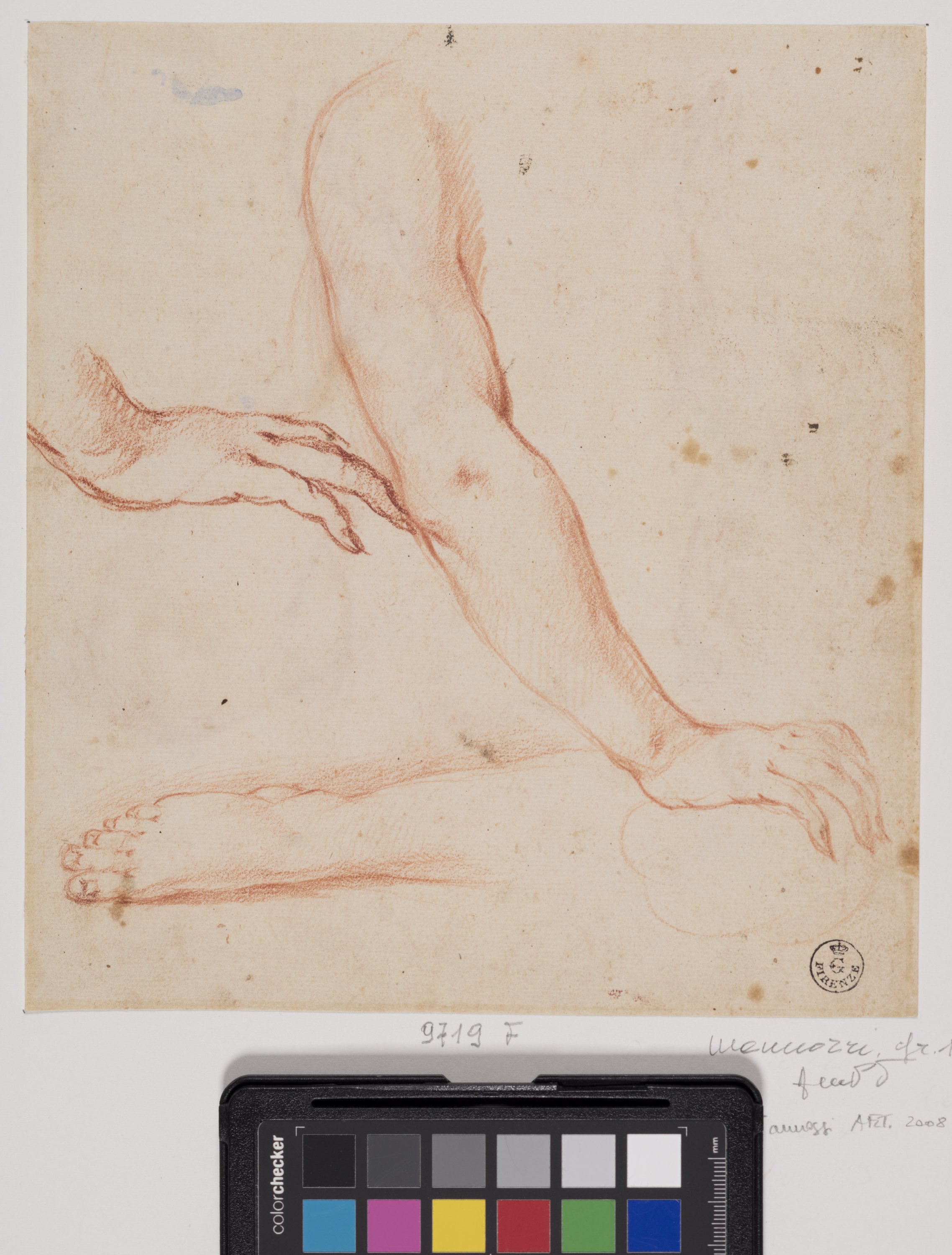 Studi di braccio, mano e piede (r.), Tre studi di mani viste di profilo (v.) (disegno) di Furini Francesco (XVII)