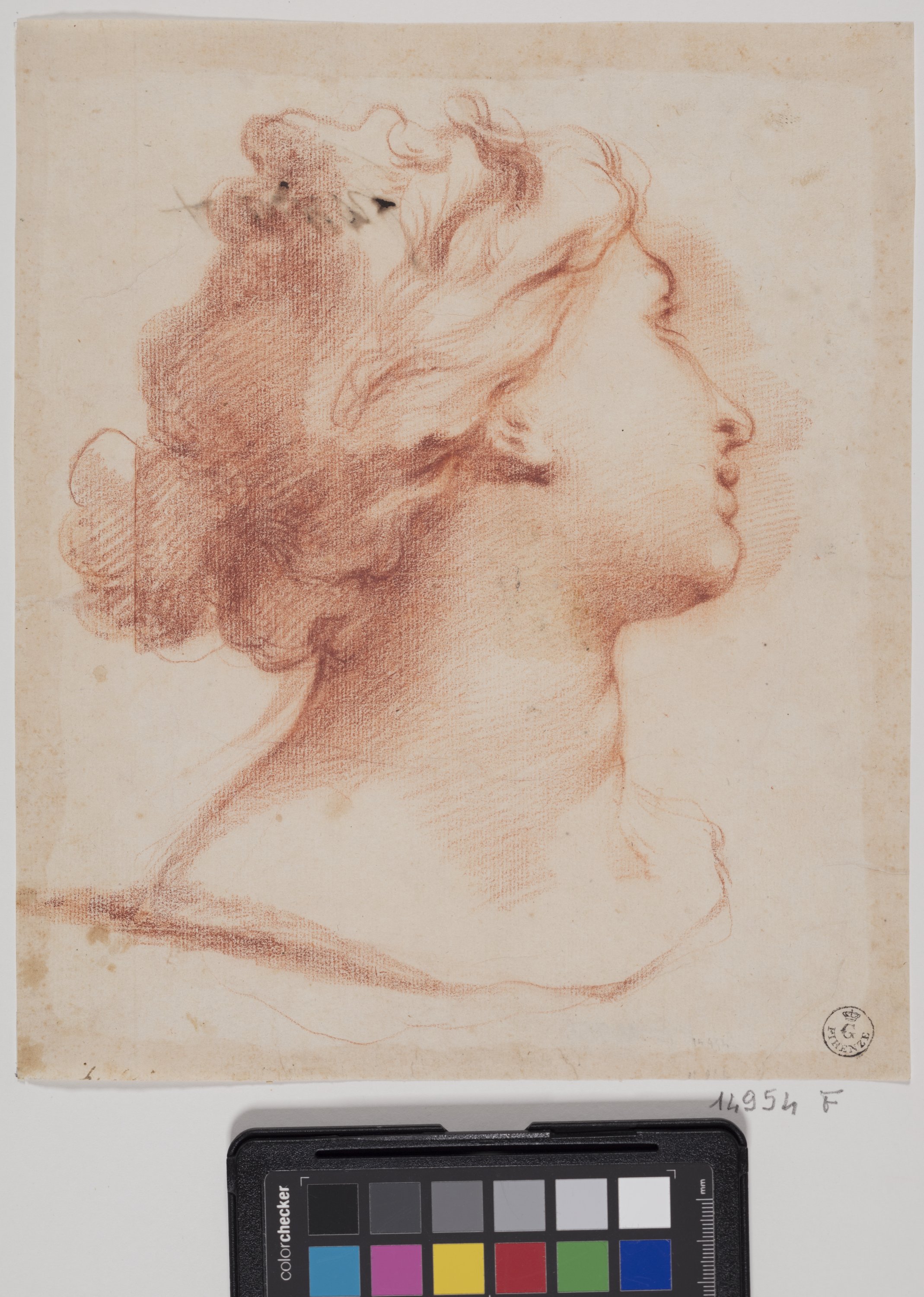 Testa di donna di profilo (disegno) di Furini Francesco (XVII)