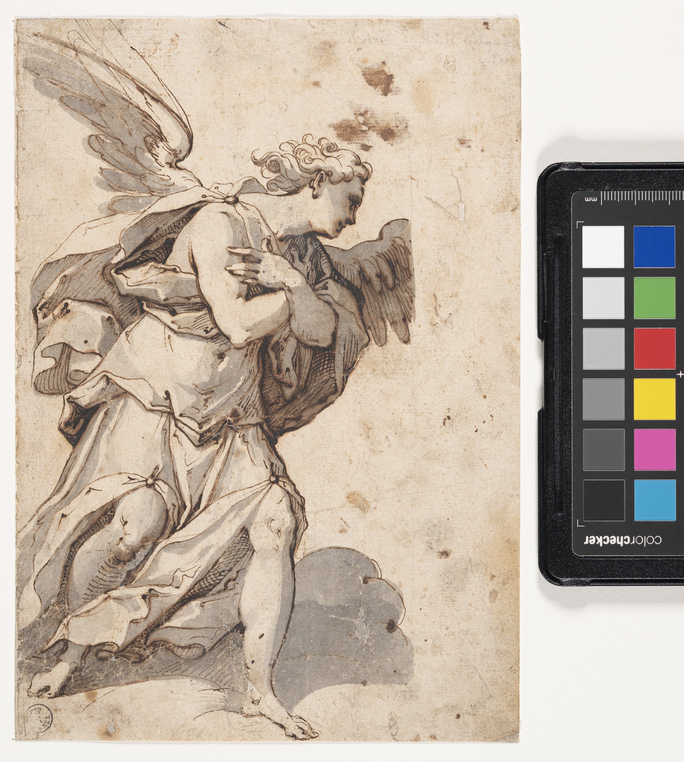 Angelo annunciante (disegno) di Trotti Giovan Battista detto Malosso (seconda metà XVI)