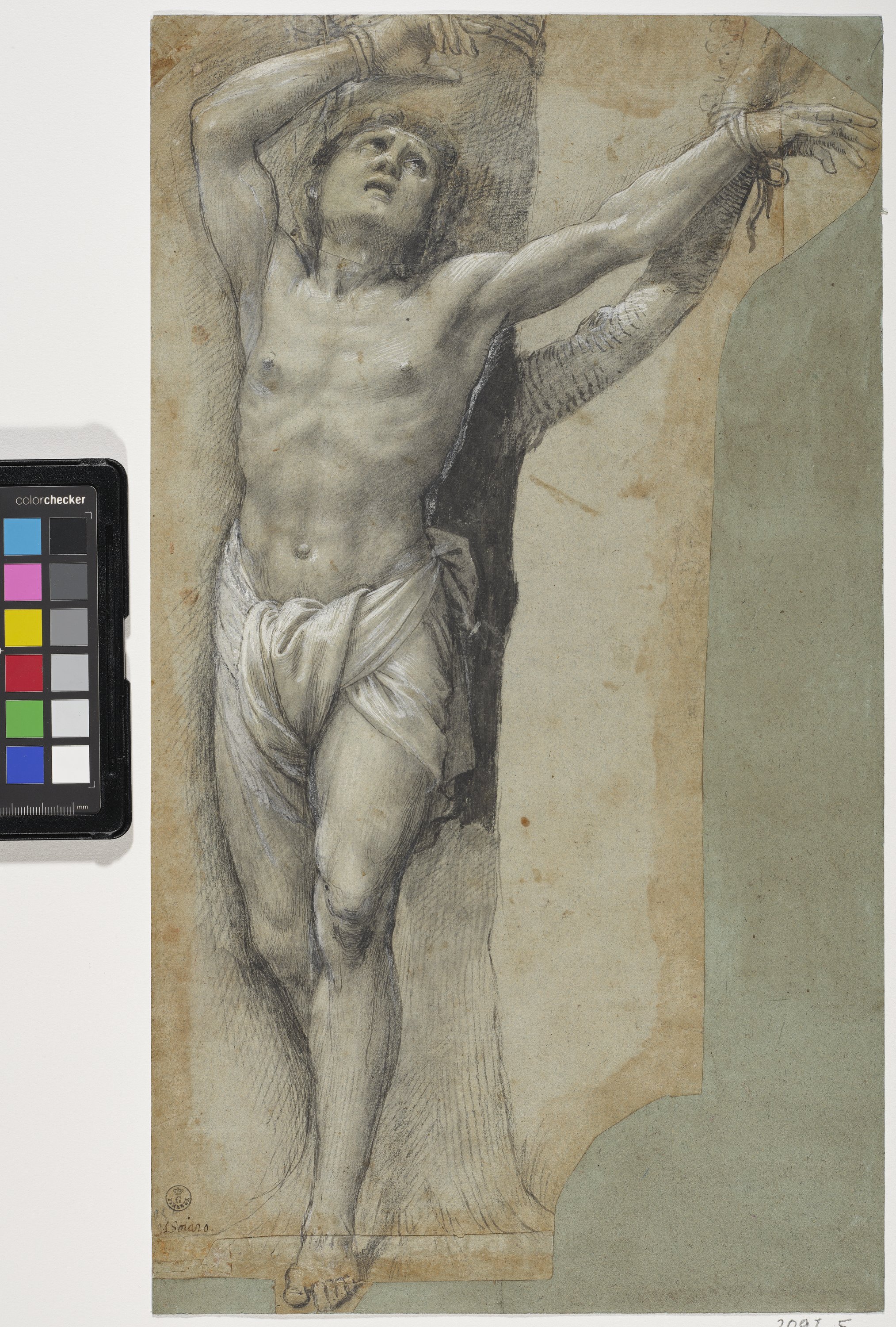 San Sebastiano (disegno) di Gatti Bernardino detto Soiaro (XVI)