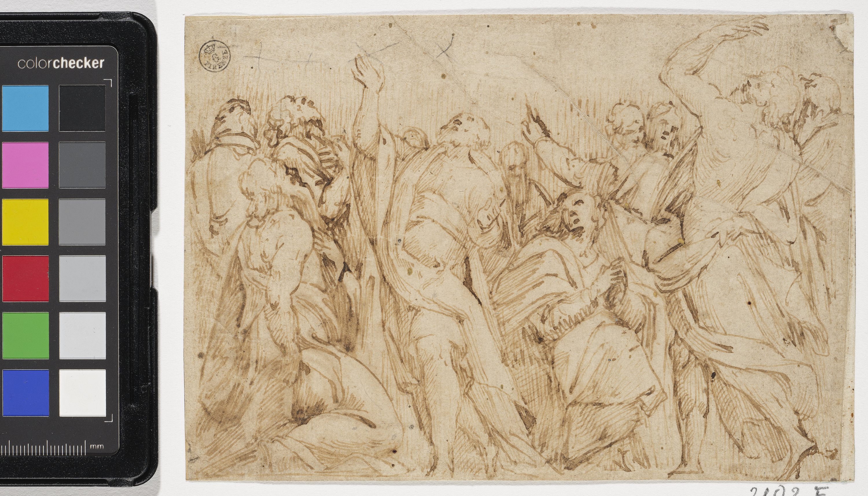 Apostoli (disegno) di Gatti Bernardino detto Soiaro (XVI)