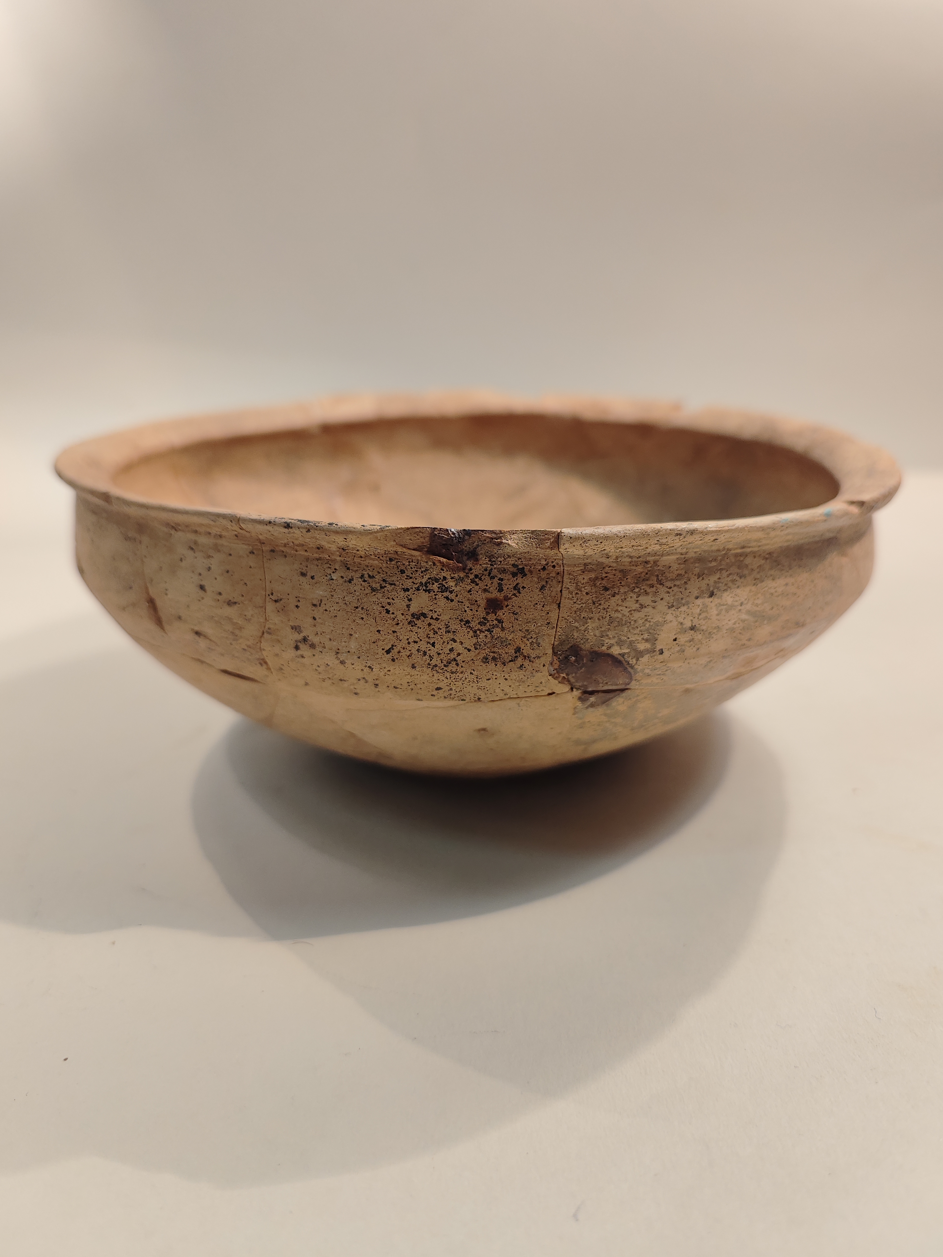 SINGOLO OGGETTO/ coppa, SECOLI/ VI a.C