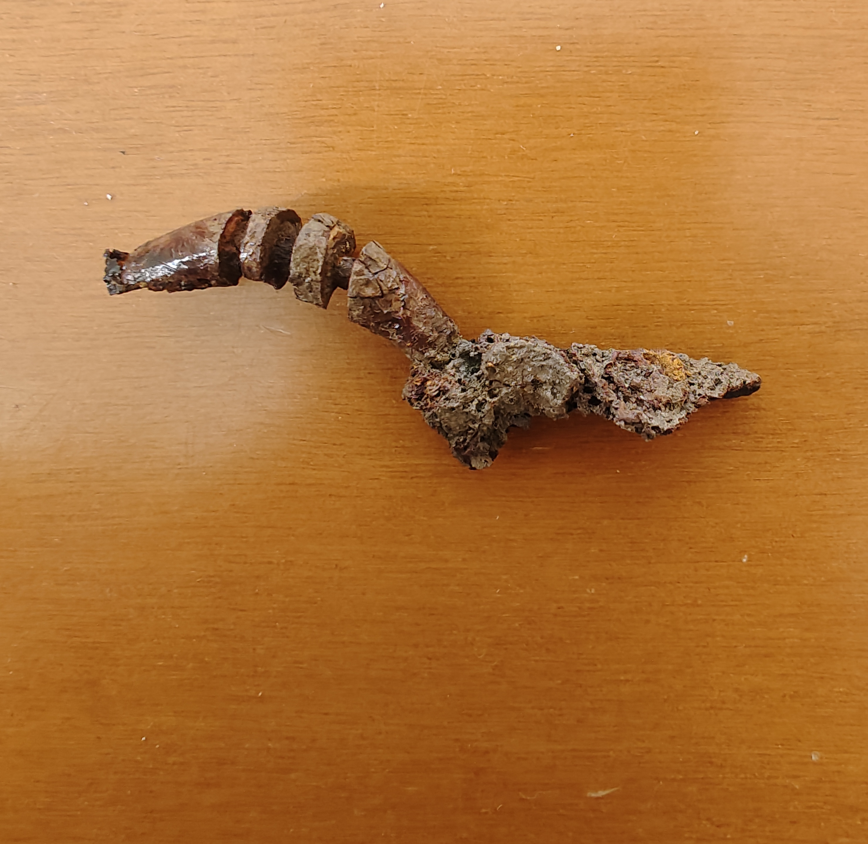 SINGOLO OGGETTO/ fibula, SECOLI/ VII a.C