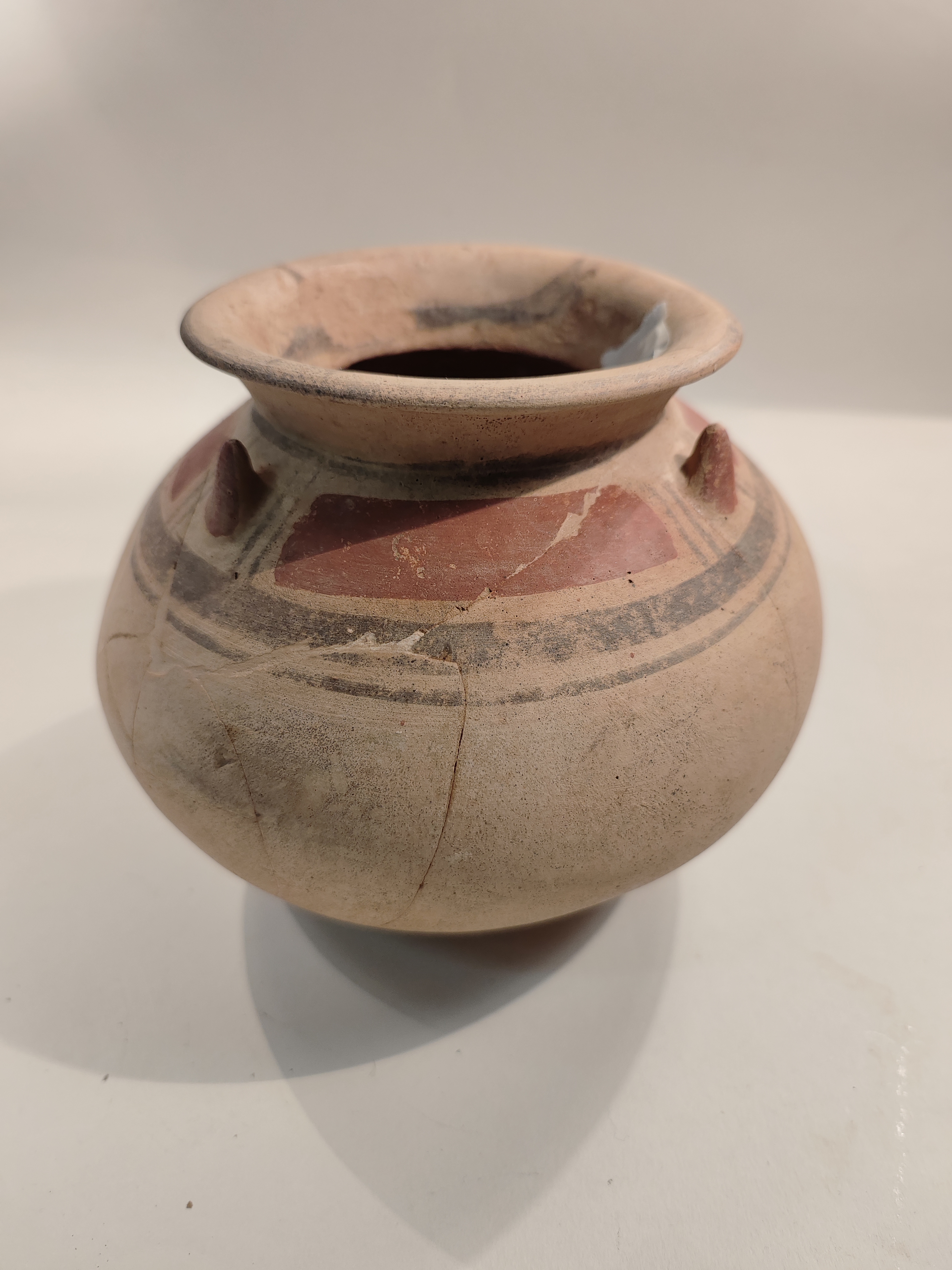 SINGOLO OGGETTO/ olla, SECOLI/ VI a.C