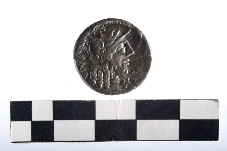 moneta - Denario - ambito romano repubblicano (sec. II a.C)