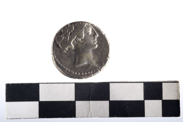 moneta - Denario - ambito romano repubblicano (sec. I a.C)