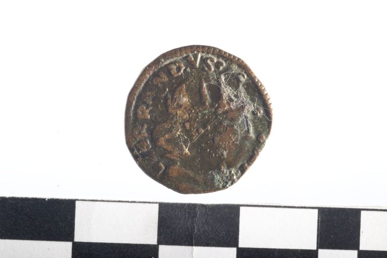 moneta - cavallo - ambito Regno di Napoli (sec. XV d.C)