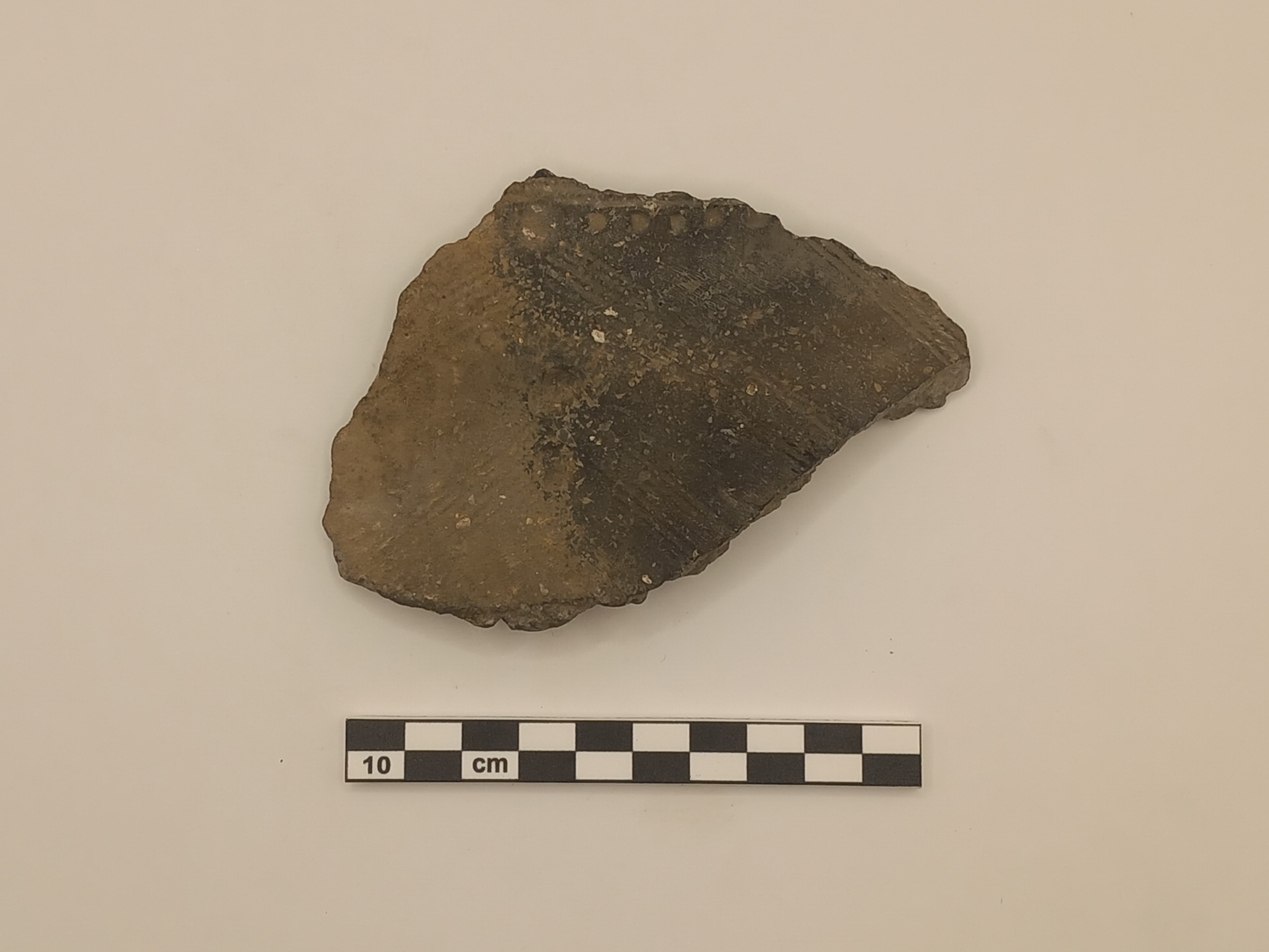 biconico/ parete - Ambito protostorico veneto (SECOLI/ ARCHI DI SECOLI/ X a.C. - IX a.C)