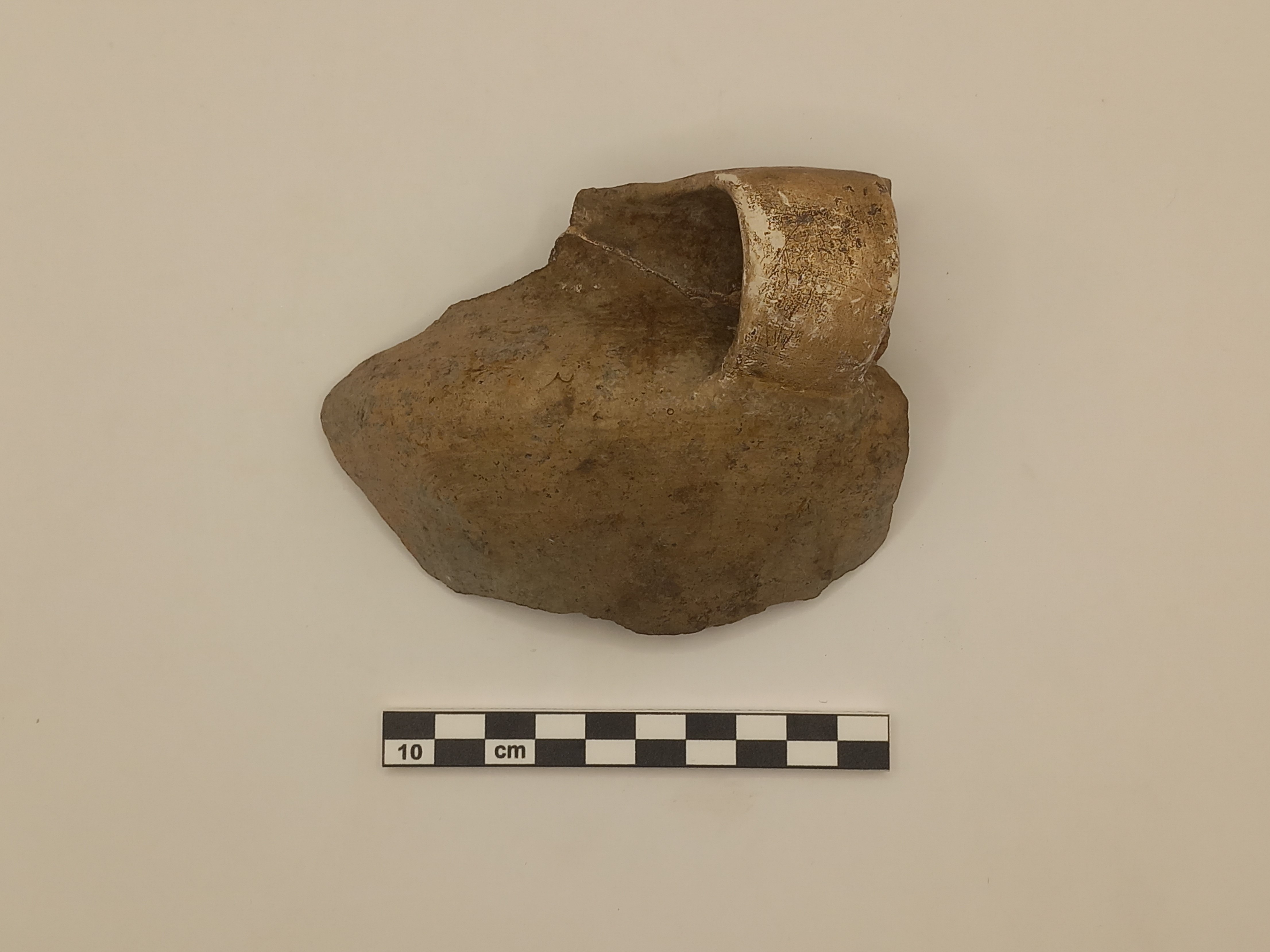 tazza, a corpo globoso-lenticolare - Ambito protostorico veneto (SECOLI/ ARCHI DI SECOLI/ X a.C. - IX a.C)