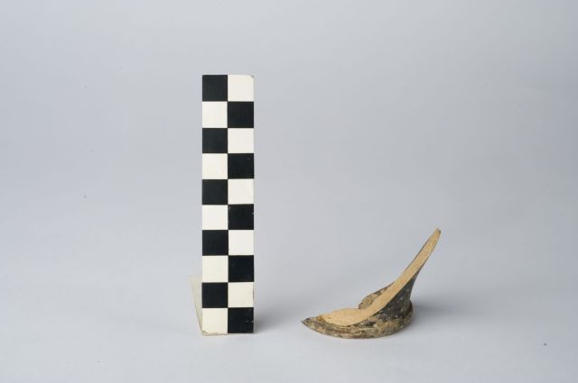 skyphos/ fondo - ambito apulo (secc. IV/ III a.C)