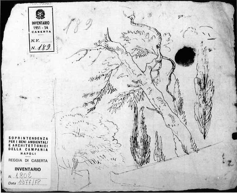Studio di alberi/Schizzi vari, Studio di alberi/ Schizzi vari (disegno, insieme) di Van Wittel Gaspar (sec. XVII)