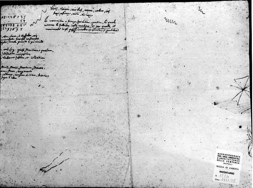 schizzo di gamba/ scritte varie (disegno) di Vanvitelli Luigi (prima metà sec. XVIII)