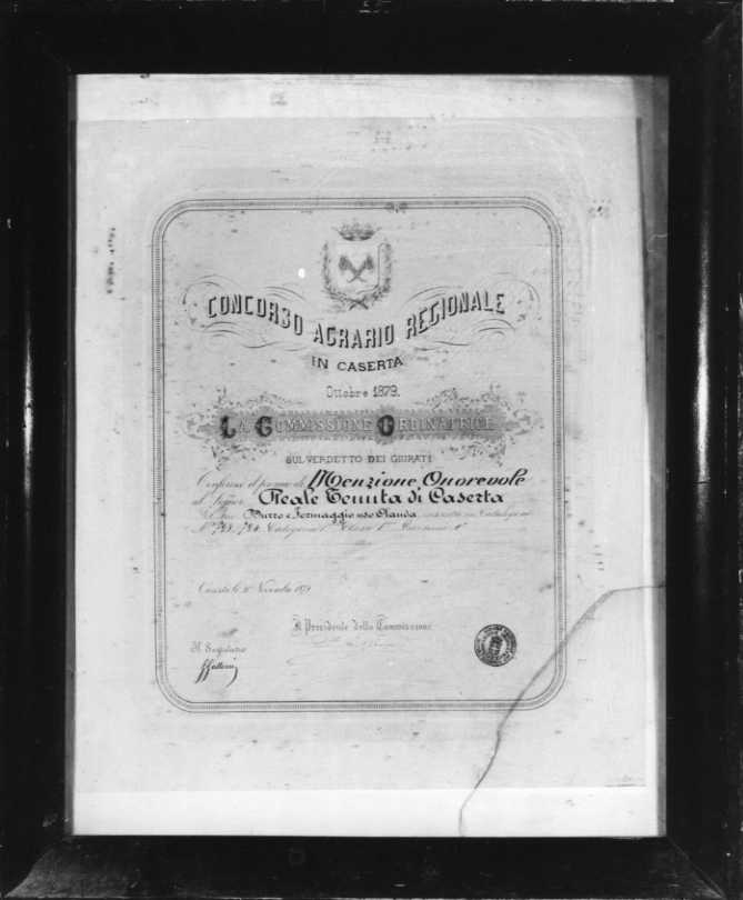 iscrizione (stampa, serie) - ambito campano (sec. XIX)