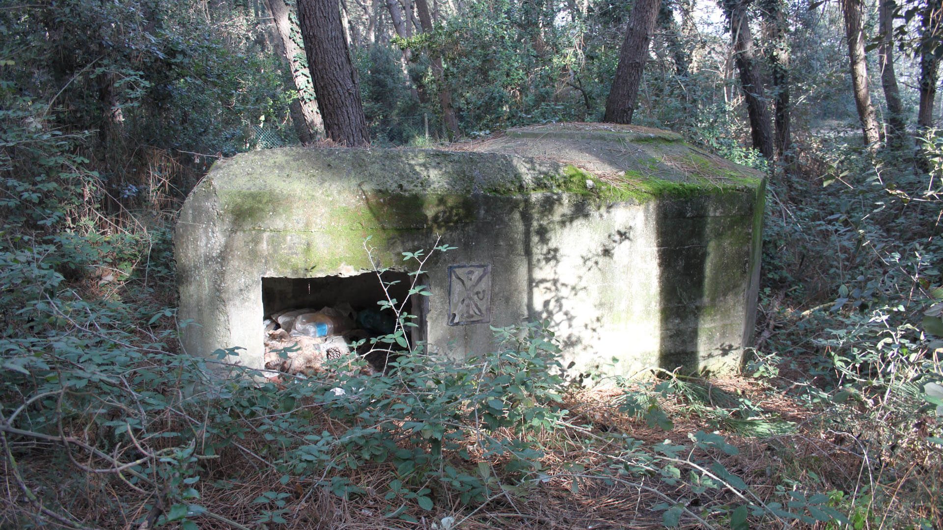 Tobruk sinistro della Colonia della Croce Rossa italiana_Linea Galla Placidia (bunker) - Ravenna (RA)  (XX; XX; XX, prima metà; XX, prima metà)