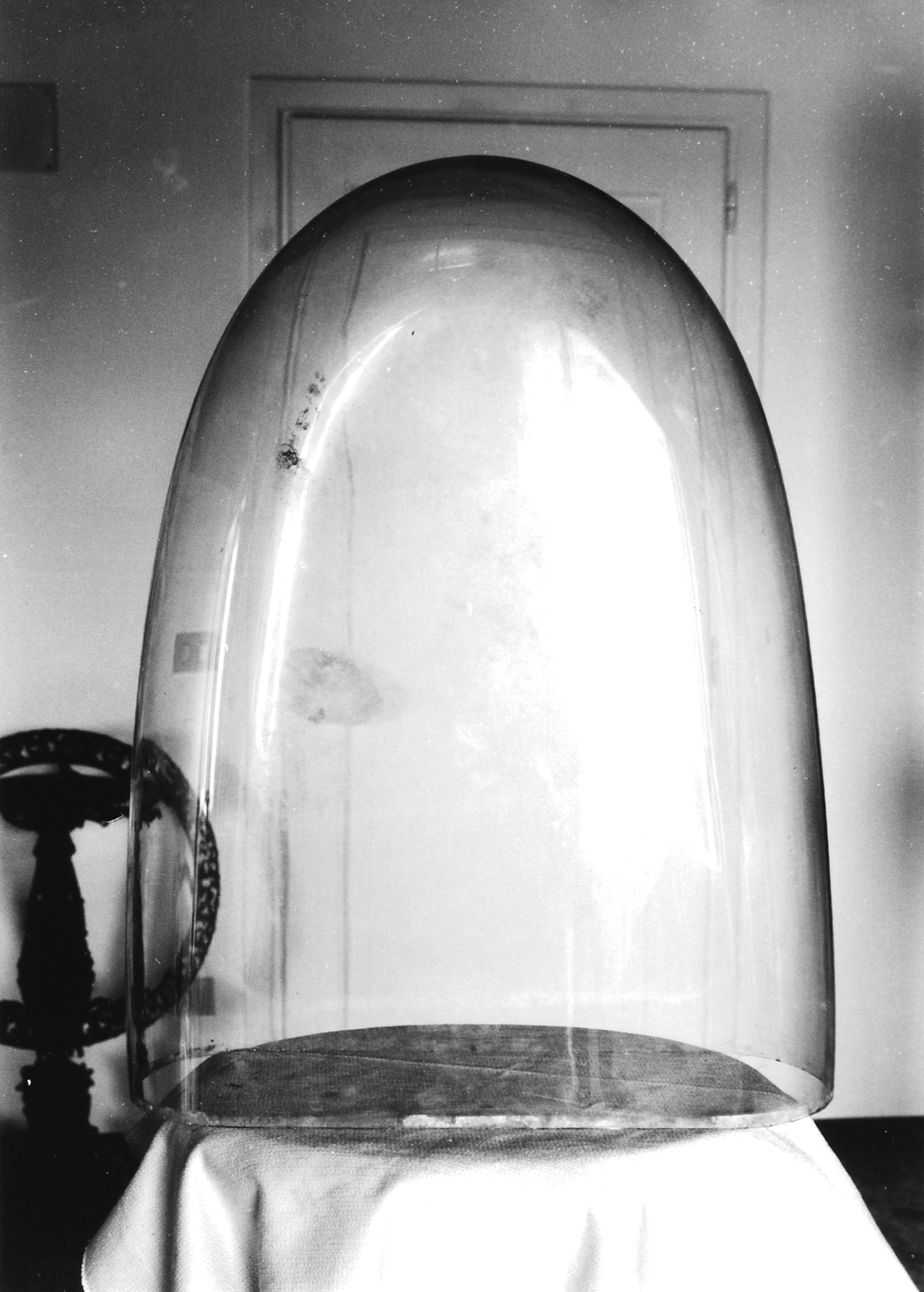 campana di vetro, opera isolata - manifattura veneziana (?) (XIX)