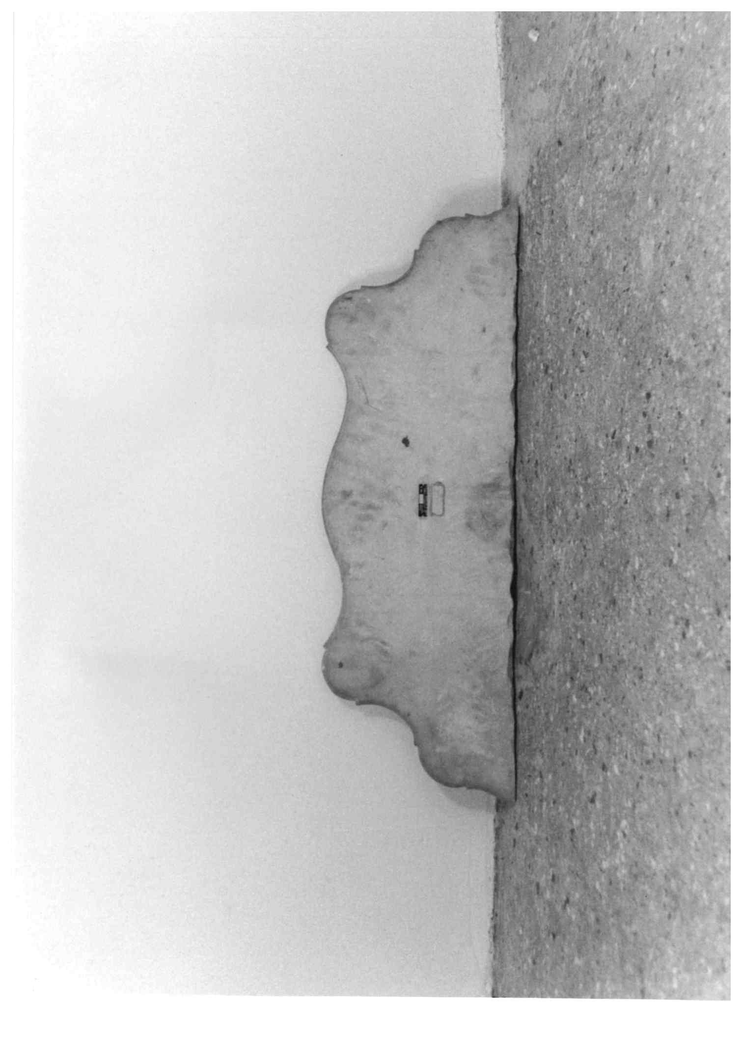 ripiano, serie - ambito Italia settentrionale (seconda metà sec. XIX)