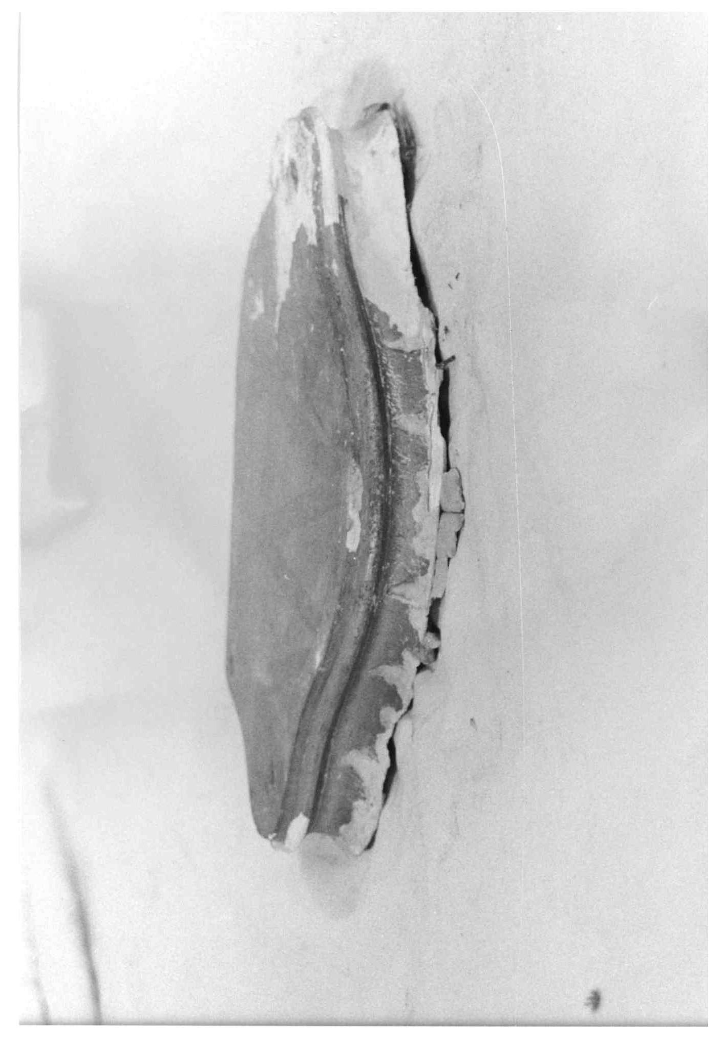 base, elemento d'insieme - ambito Italia settentrionale (metà sec. XIX)