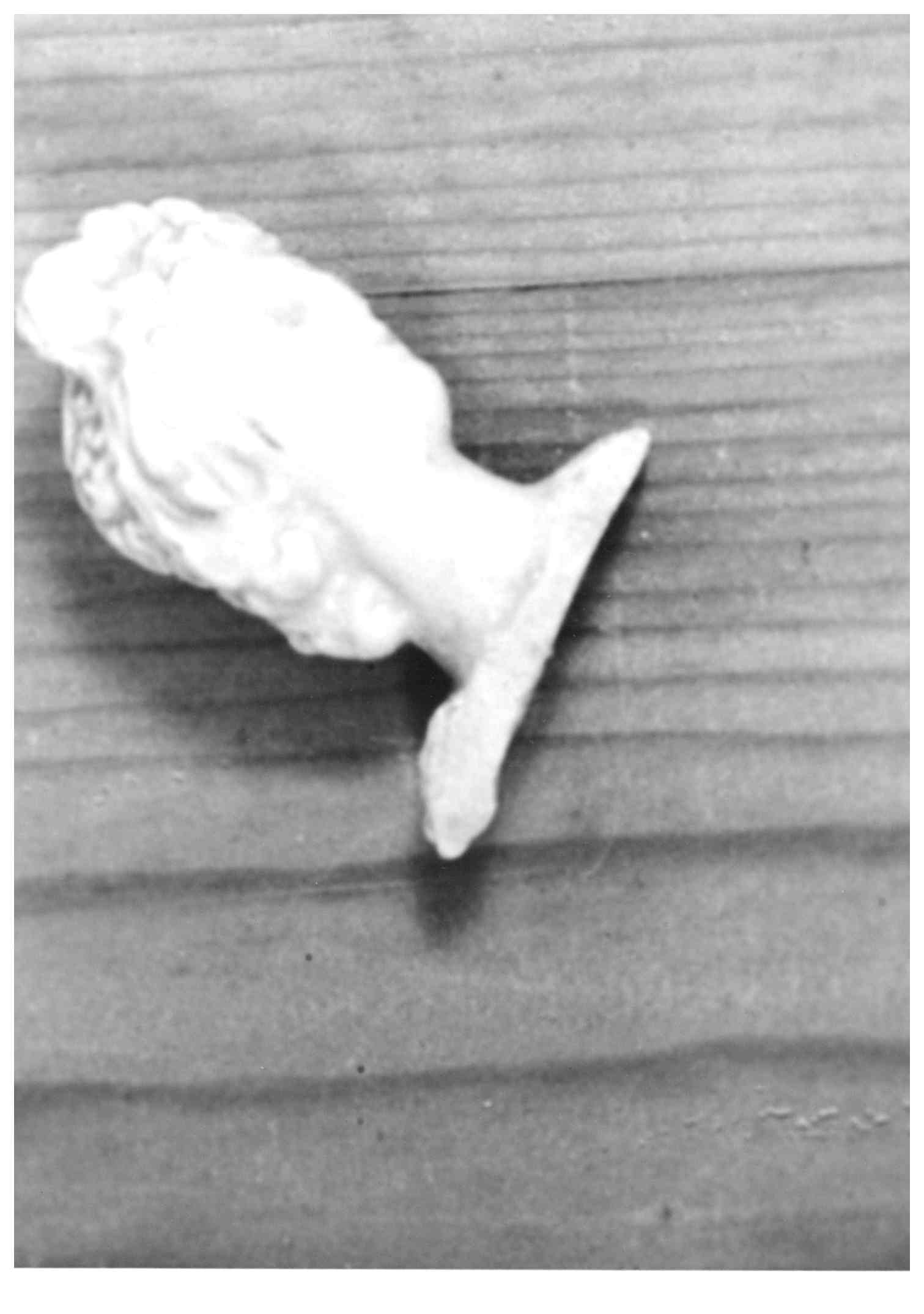 busto, frammento - ambito bassanese (sec. XIX (?))