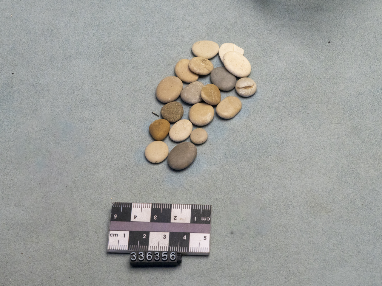 pedina (inizio SECOLI/ III a.C)