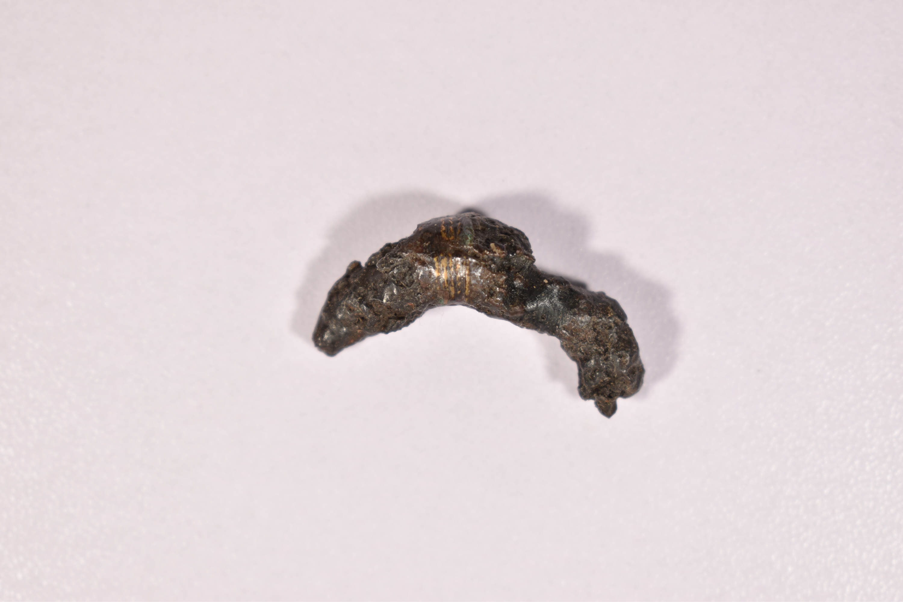 fibula (SECOLI/ IV a.C)