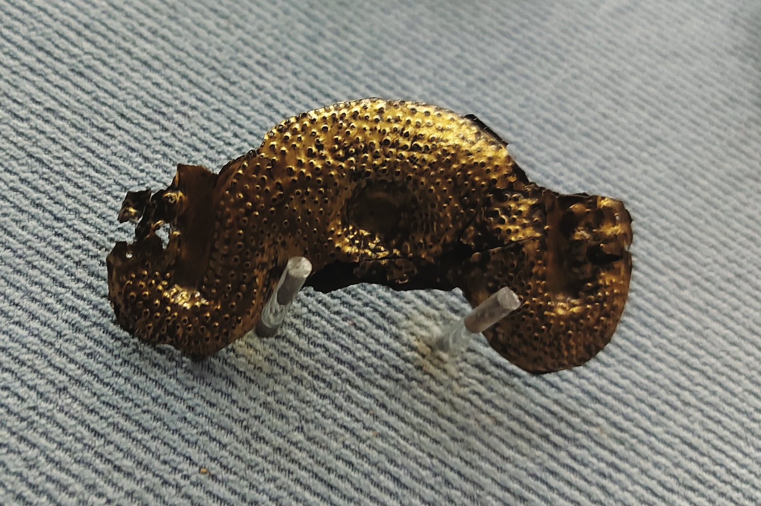 fibula (SECOLI/ V a.C)