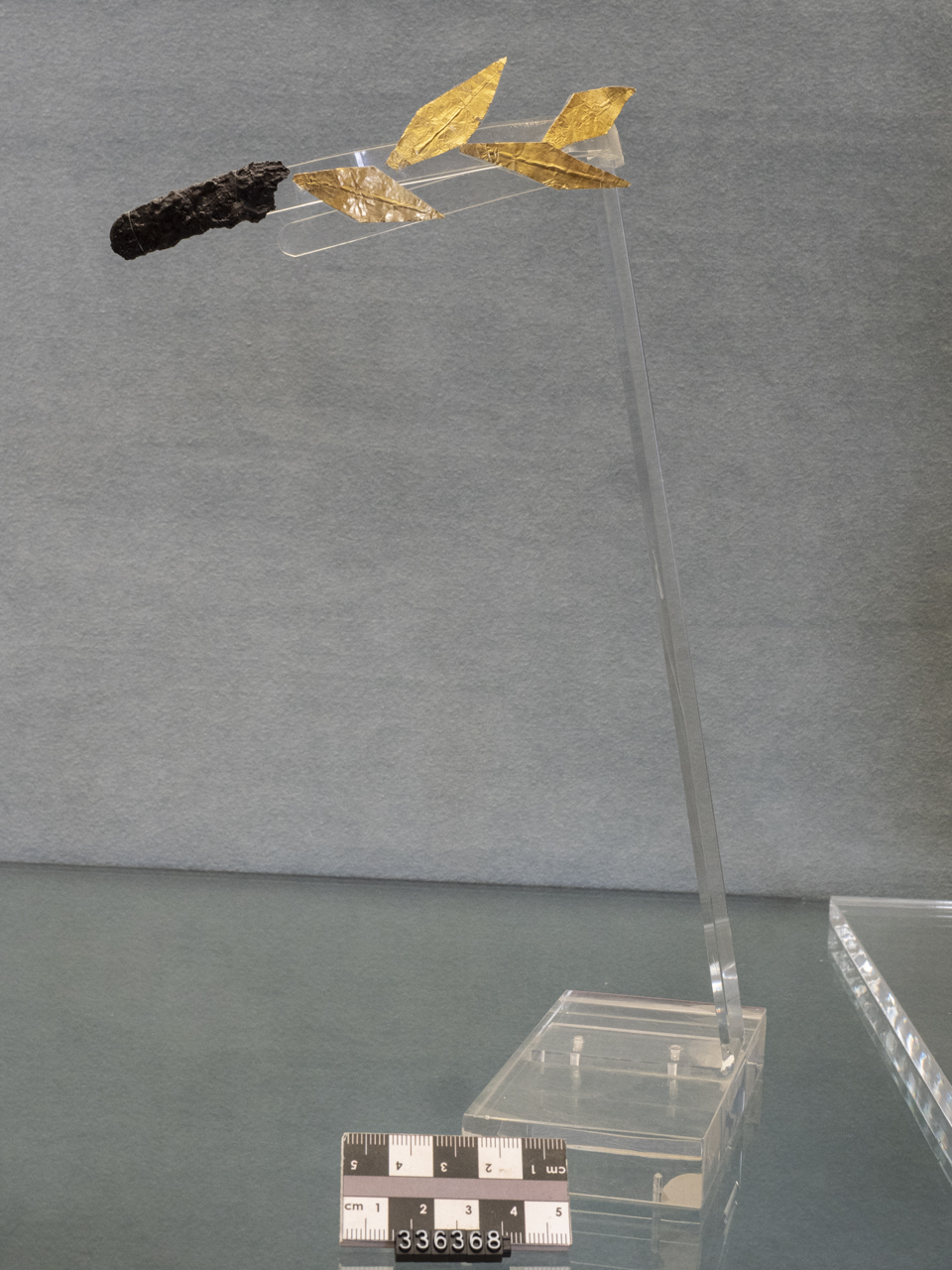 corona/ aurea (inizio SECOLI/ III a.C)