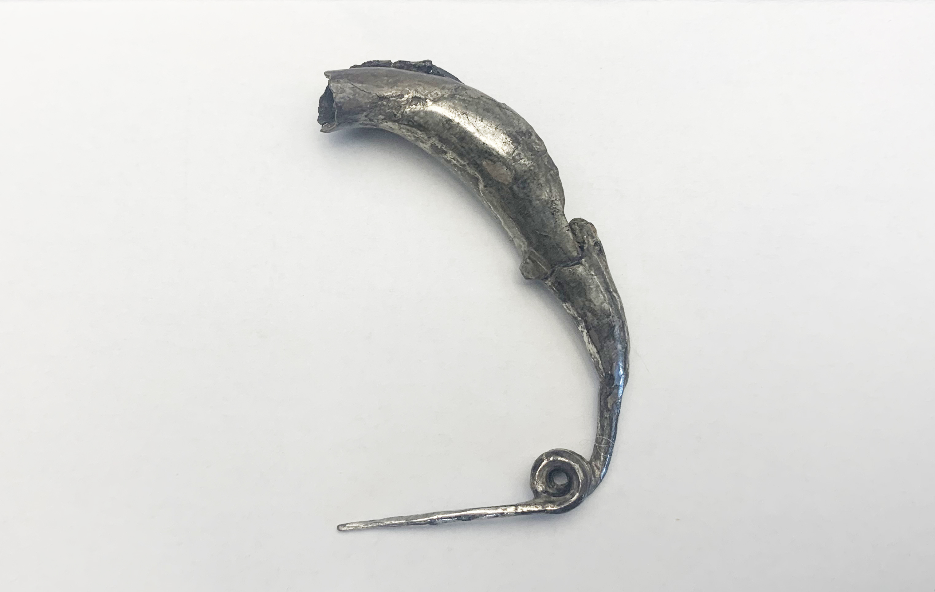 fibula (SECOLI/ IV a.C)