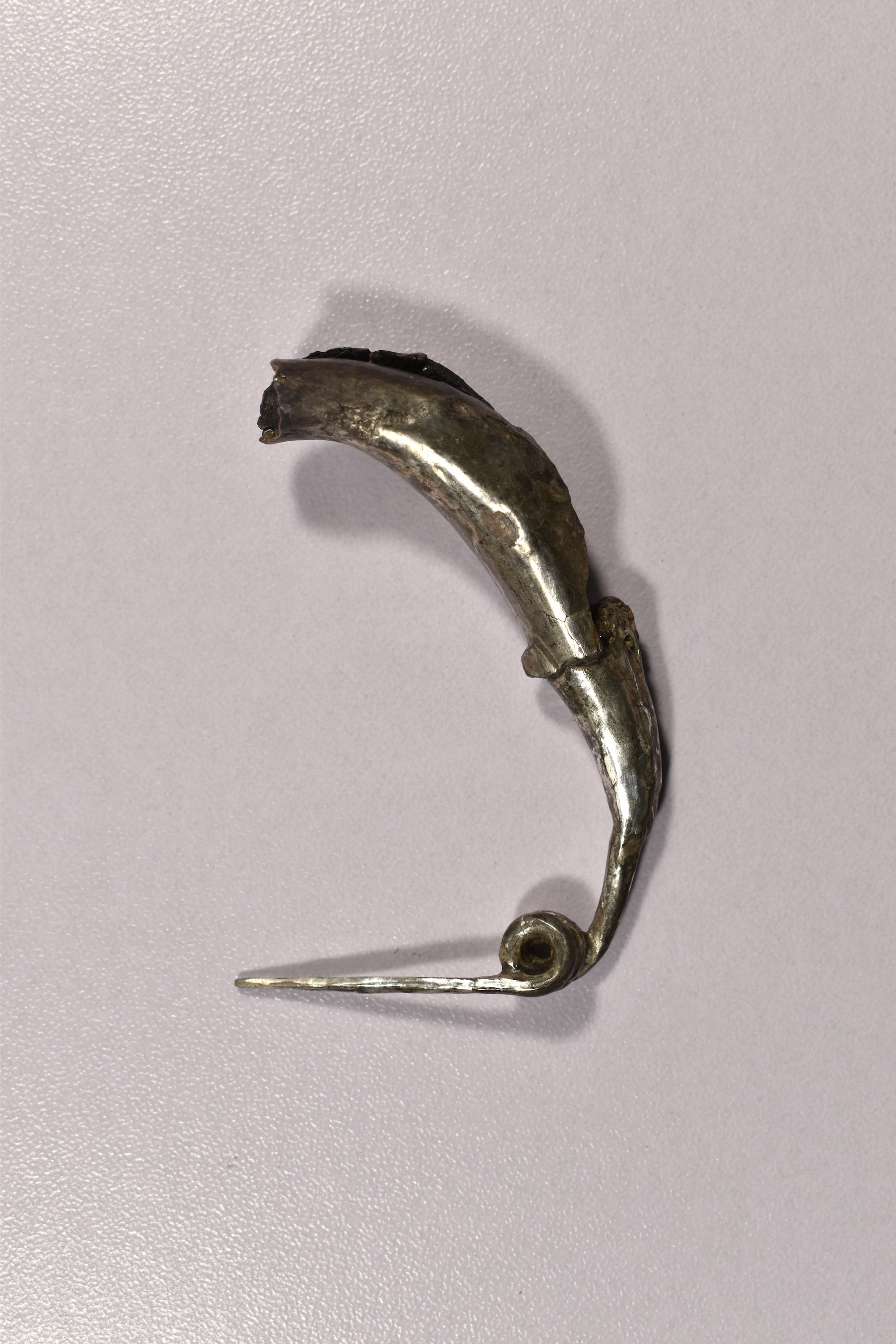 fibula (SECOLI/ IV a.C)