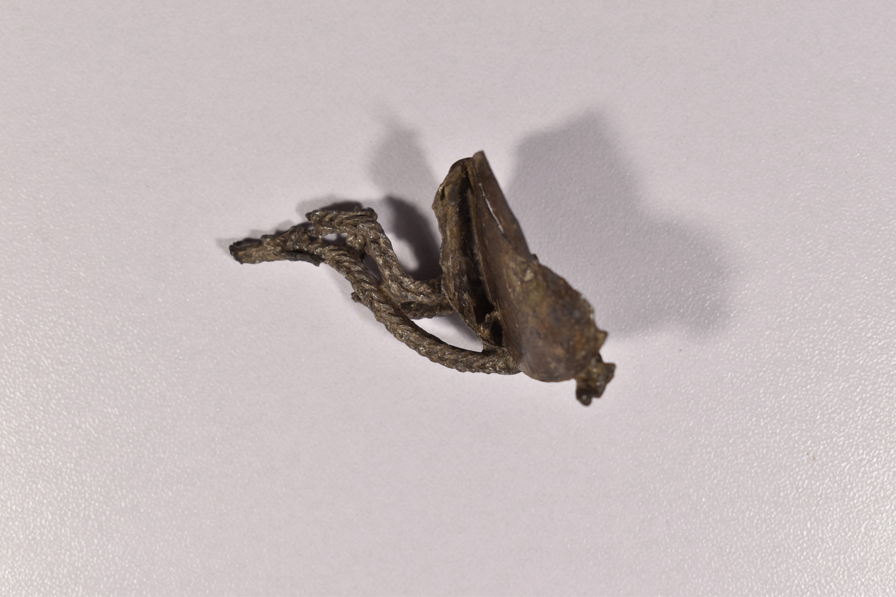 fibula (SECOLI/ IV a.C)