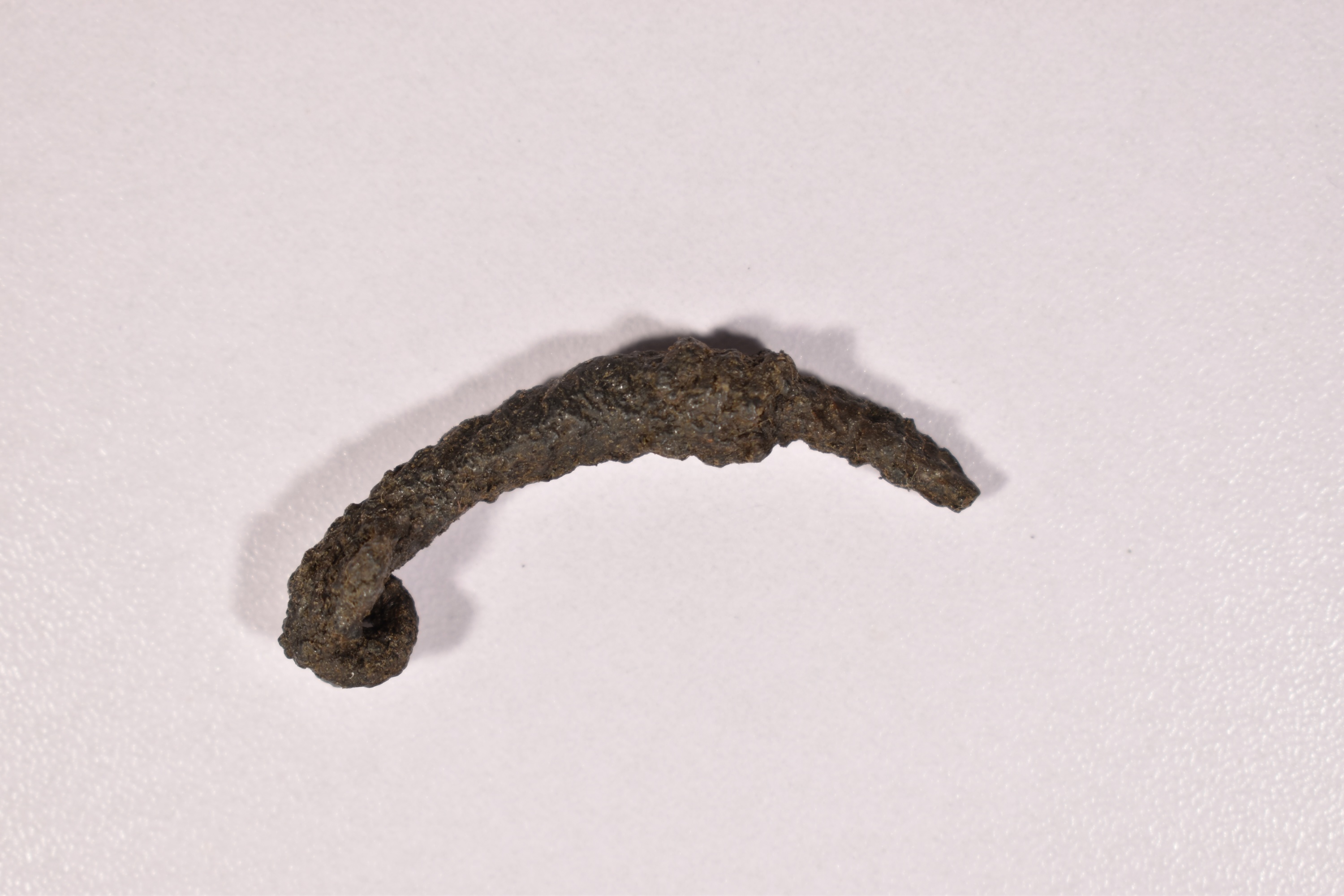 fibula (SECOLI/ IV a.C)