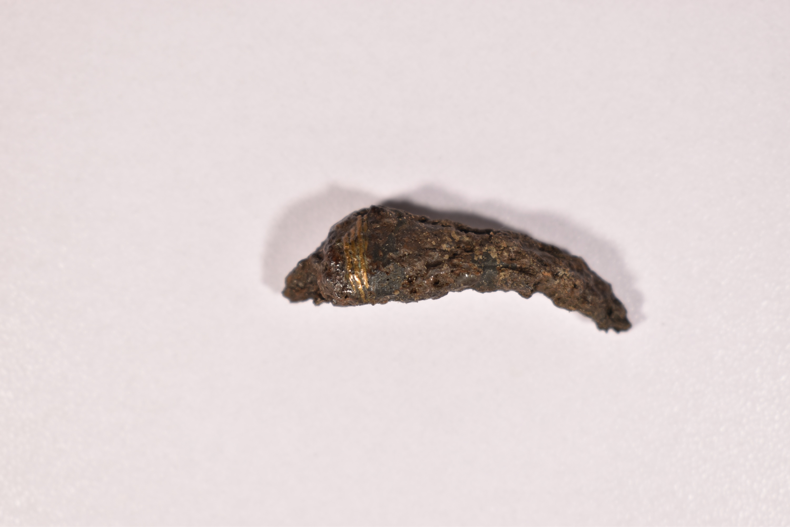 fibula (SECOLI/ IV a.C)