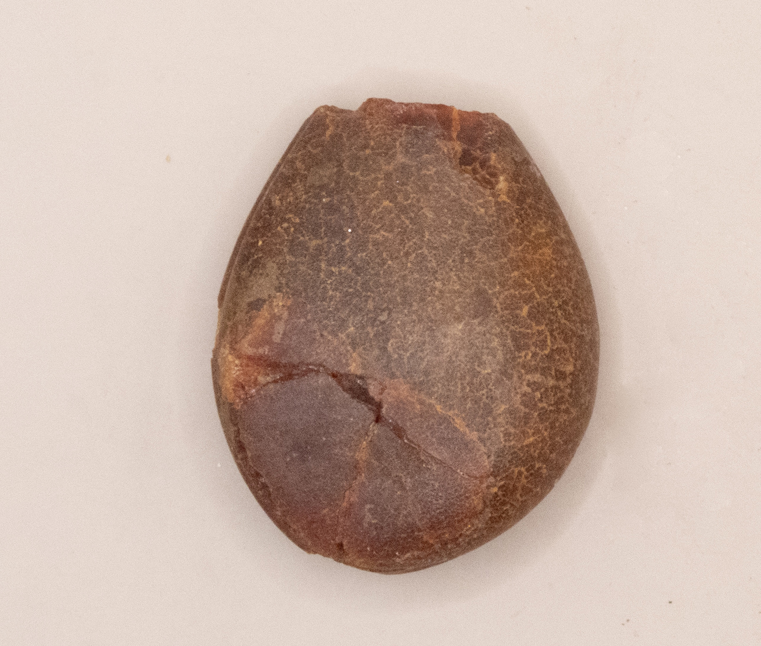 pendente (SECOLI/ V a.C)