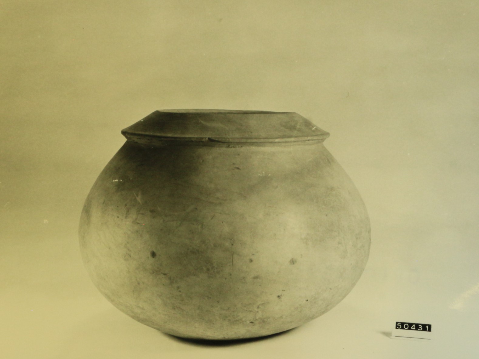 olla (fine VI -V secolo a.C)