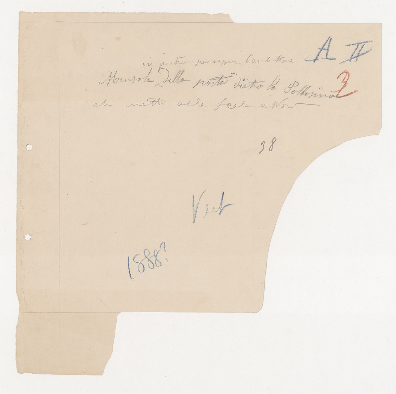 profilo (disegno) di Allegro, Agostino (XIX)