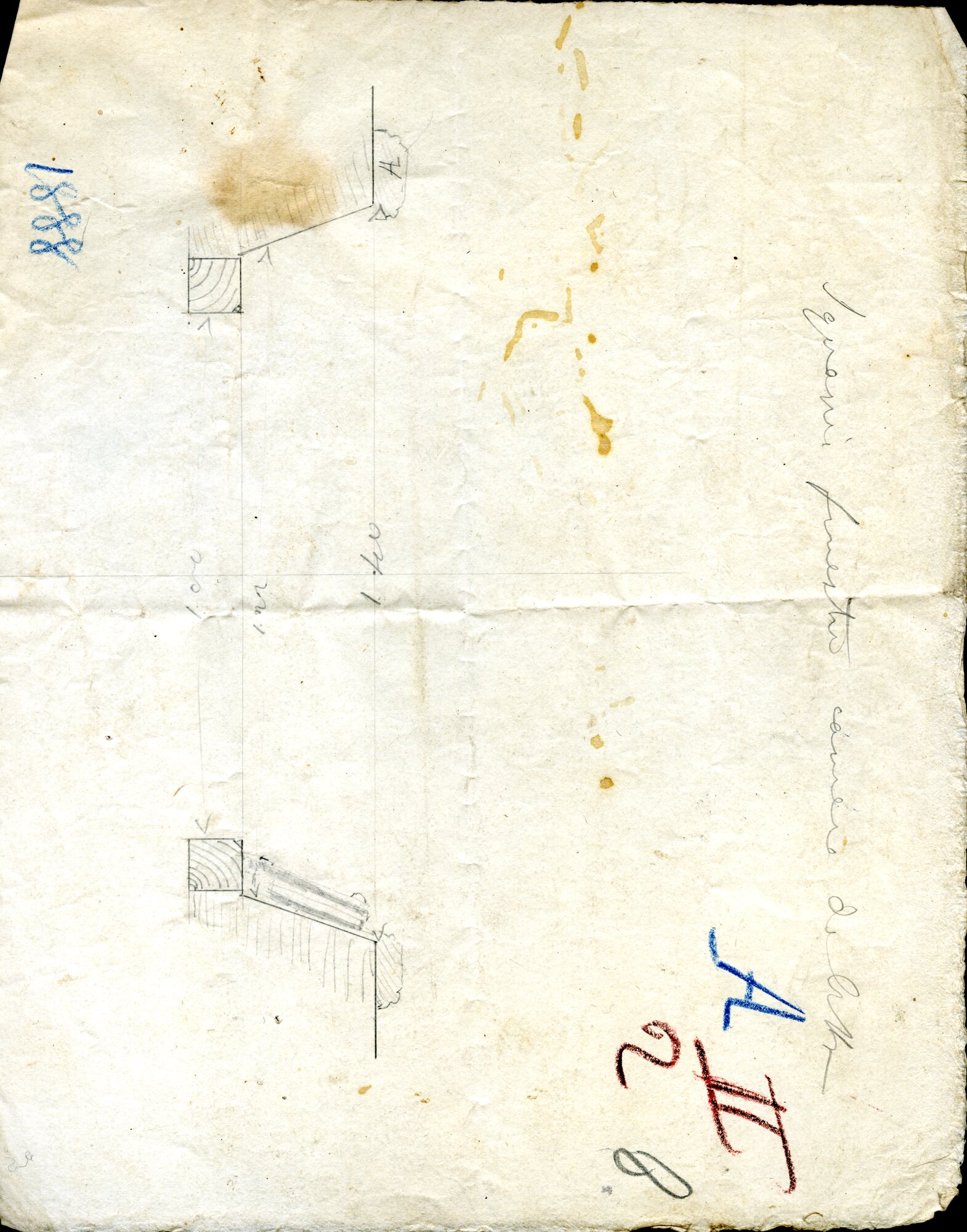 dettagli esecutivi (disegno (studio)) di Anonimo (XIX)