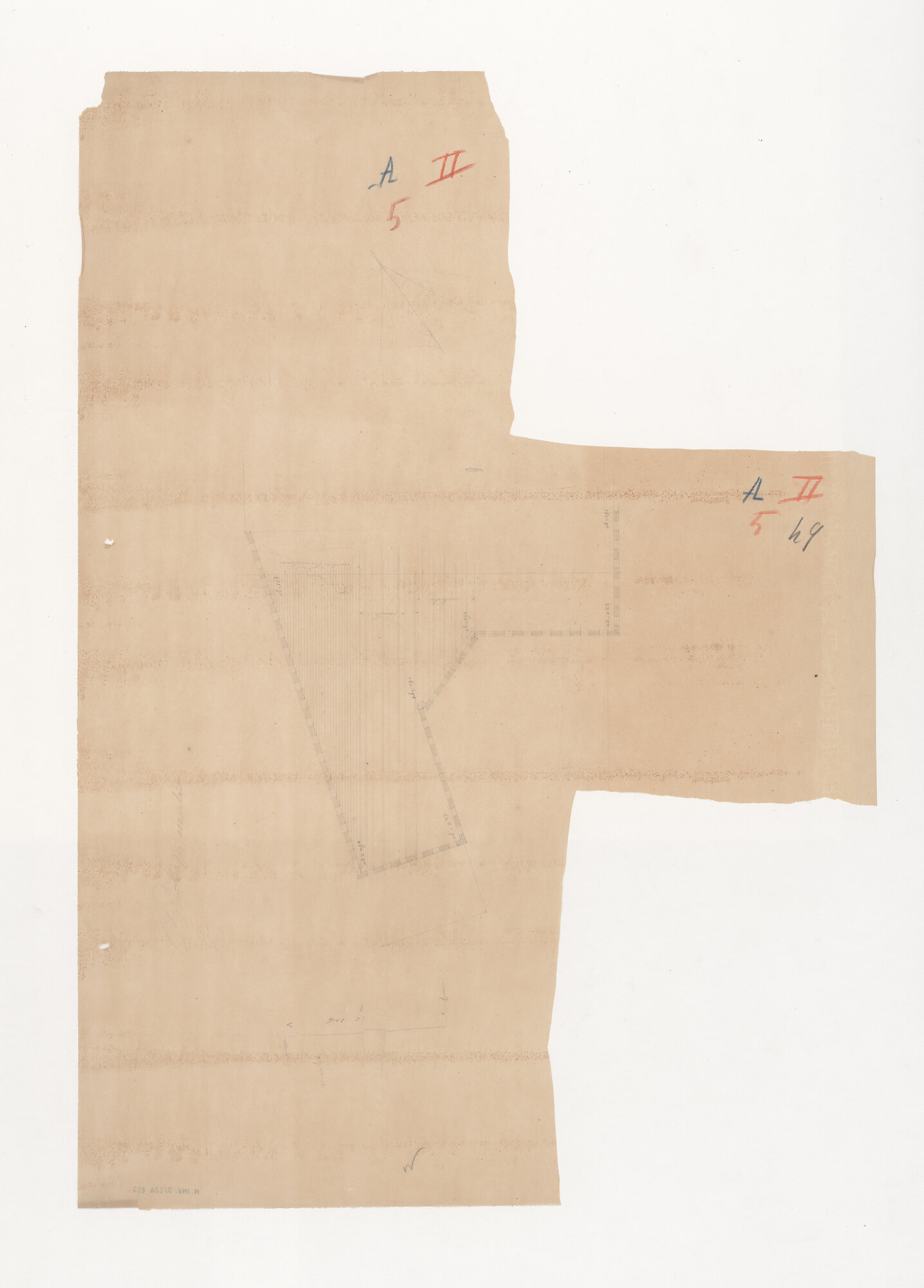 Castello D'Albertis (disegno tecnico) di Anonimo (XIX)